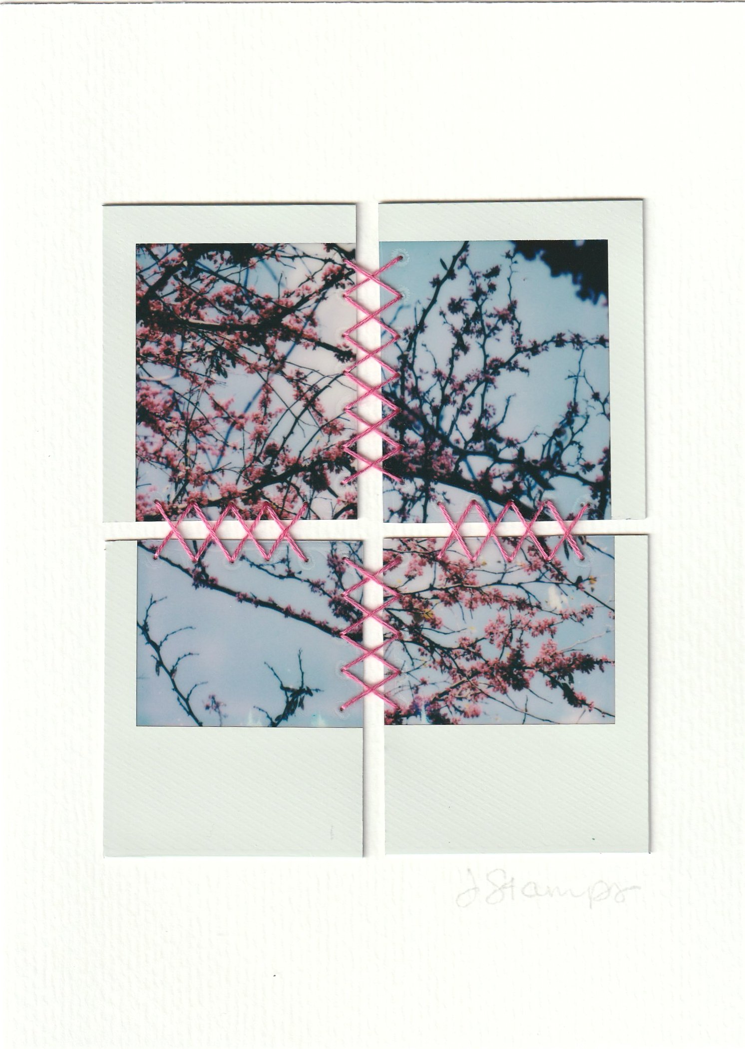 SpringBlooms1-2.jpg