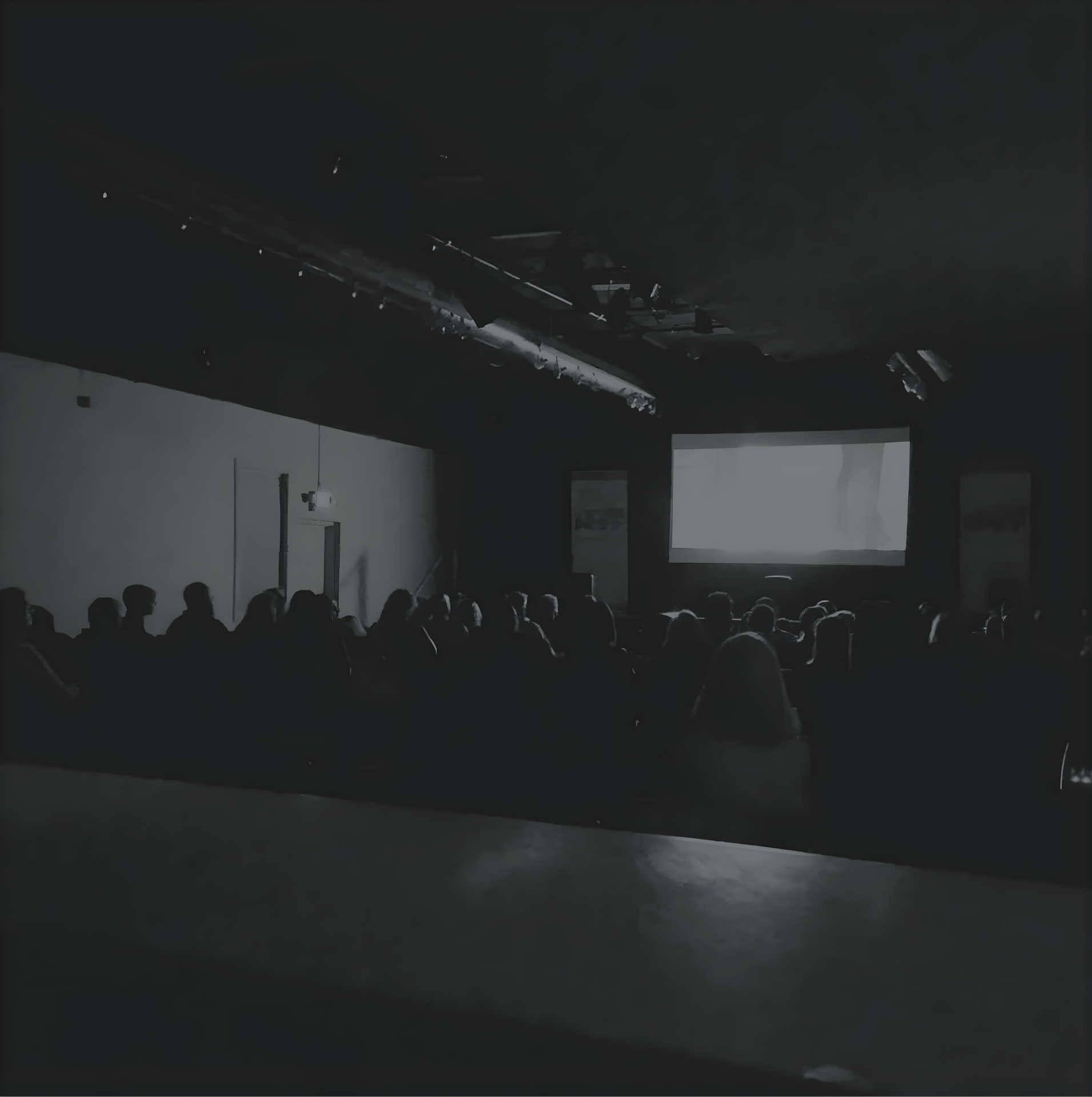 People watching a movie in a dark theater.