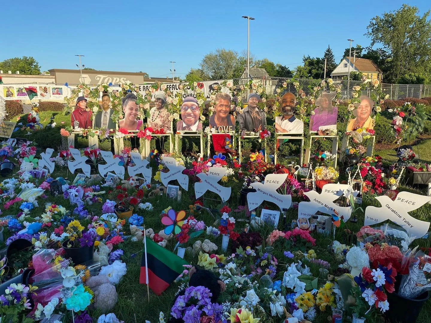 When Great Trees Fall

  By Maya Angelou

When great trees fall,
rocks on distant hills shudder,
lions hunker down
in tall grasses,
and even elephants
lumber after safety.

When great trees fall
in forests,
small things recoil into silence,
their sen