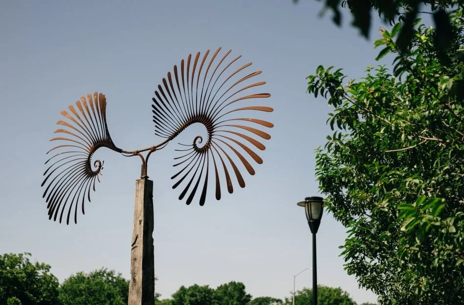 ArtPark-7-of-7-_D68A05E3-94B7-5A9A-C2E7C1209B99DA5E-d689f70bb04c446_d68a0f16-b4e3-4516-96d5501cd9740652.jpg