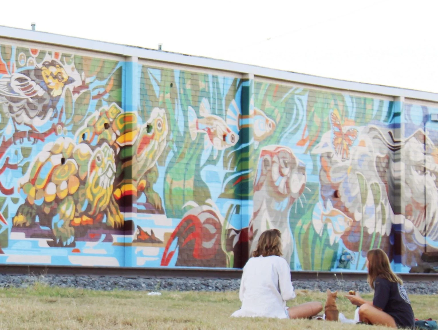 San Marcos Arts Commission