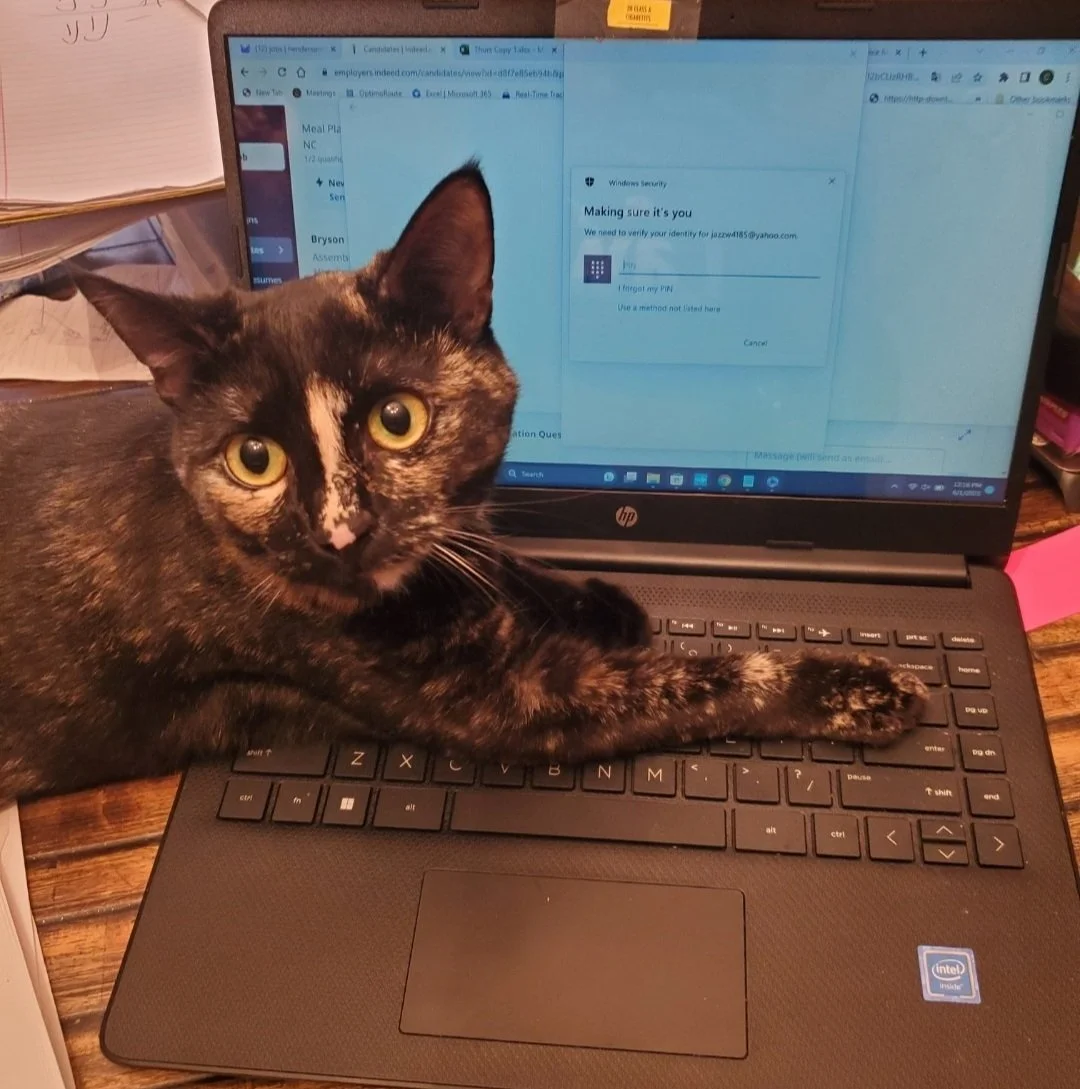 Hendersonville Waste Removal