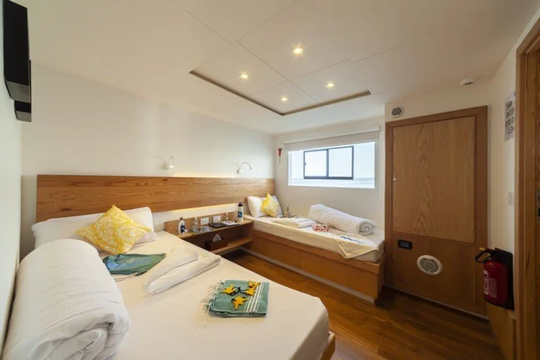 IN3-Twin-Hauptdeck_2-768x512.jpg