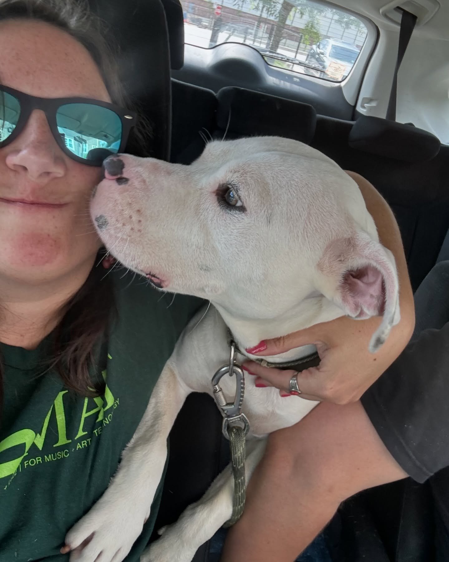 TO ALL MY DOG LOVERS OUT THERE:

We have been fostering this beauty for about 3 weeks. Due to our upcoming schedules, the time has come to find someone who can adopt her, or take up her foster duties from us.

She is easily the most affectionate dog 