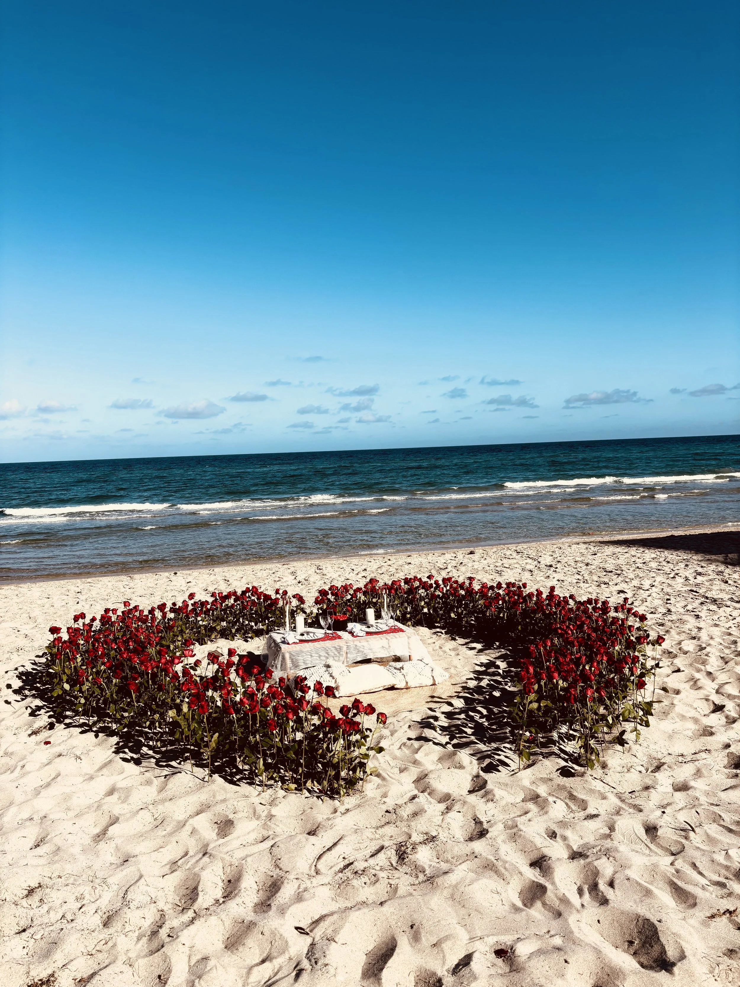 Boho Social beach picnics is fort lauderdale beach best luxury beach picnic, beach wedding & beach proposal rental company here to brighten your day & make a difference! Servicing South Florida and the beaches - from Fort Lauderdale beach to Miami Be