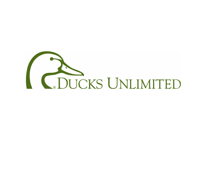 DU Logo square.png