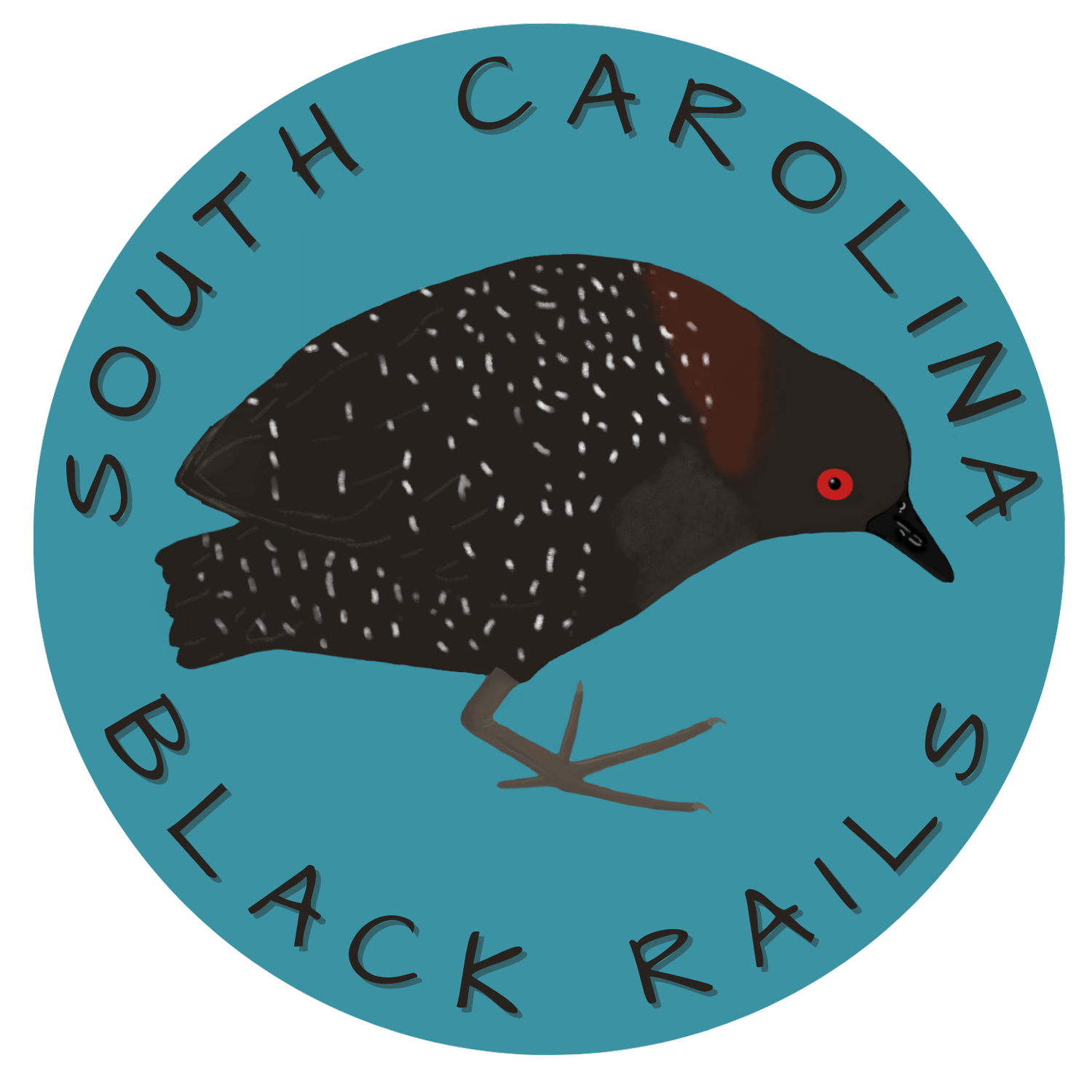South Carolina Black Rails