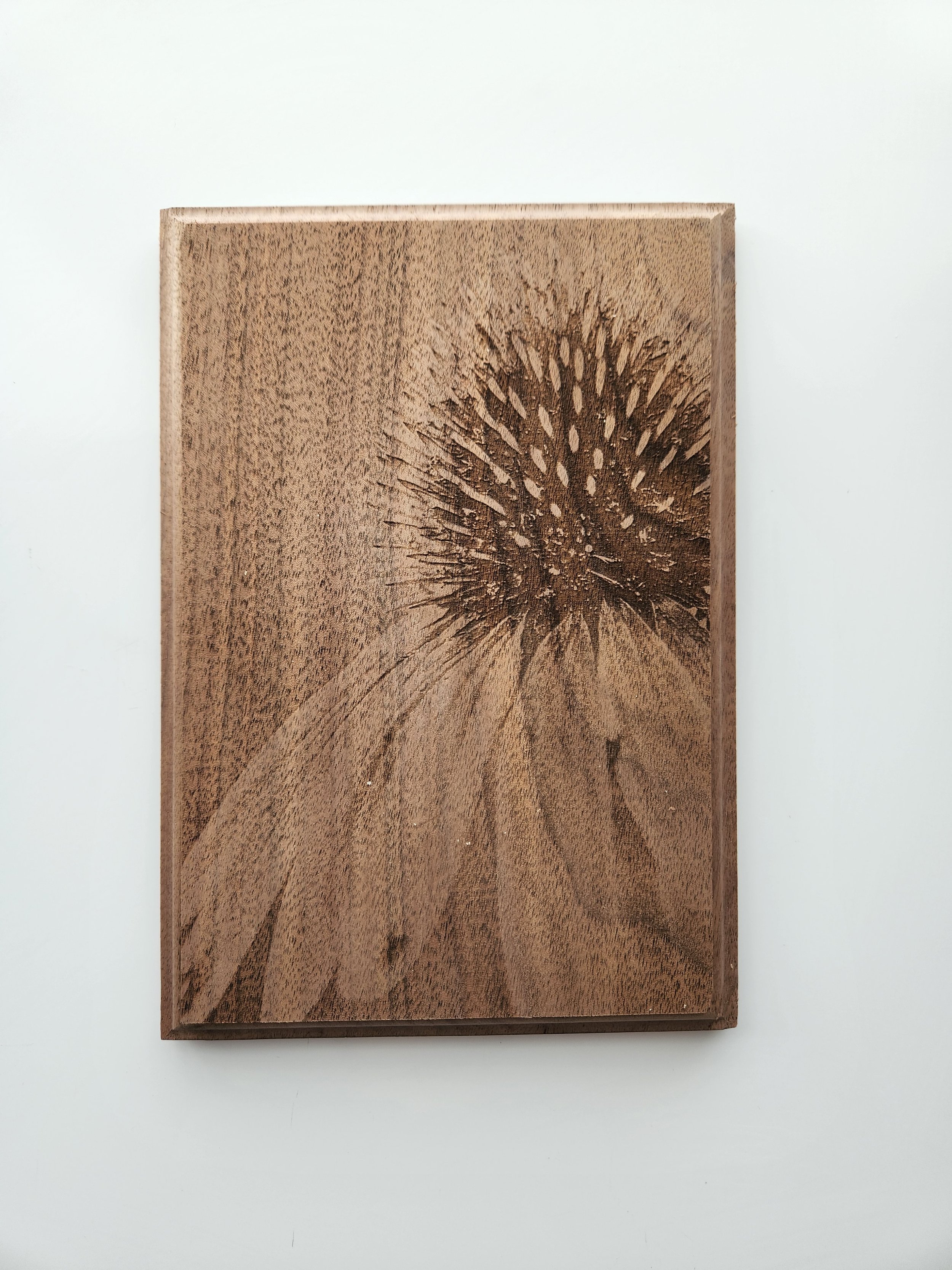 Walnut