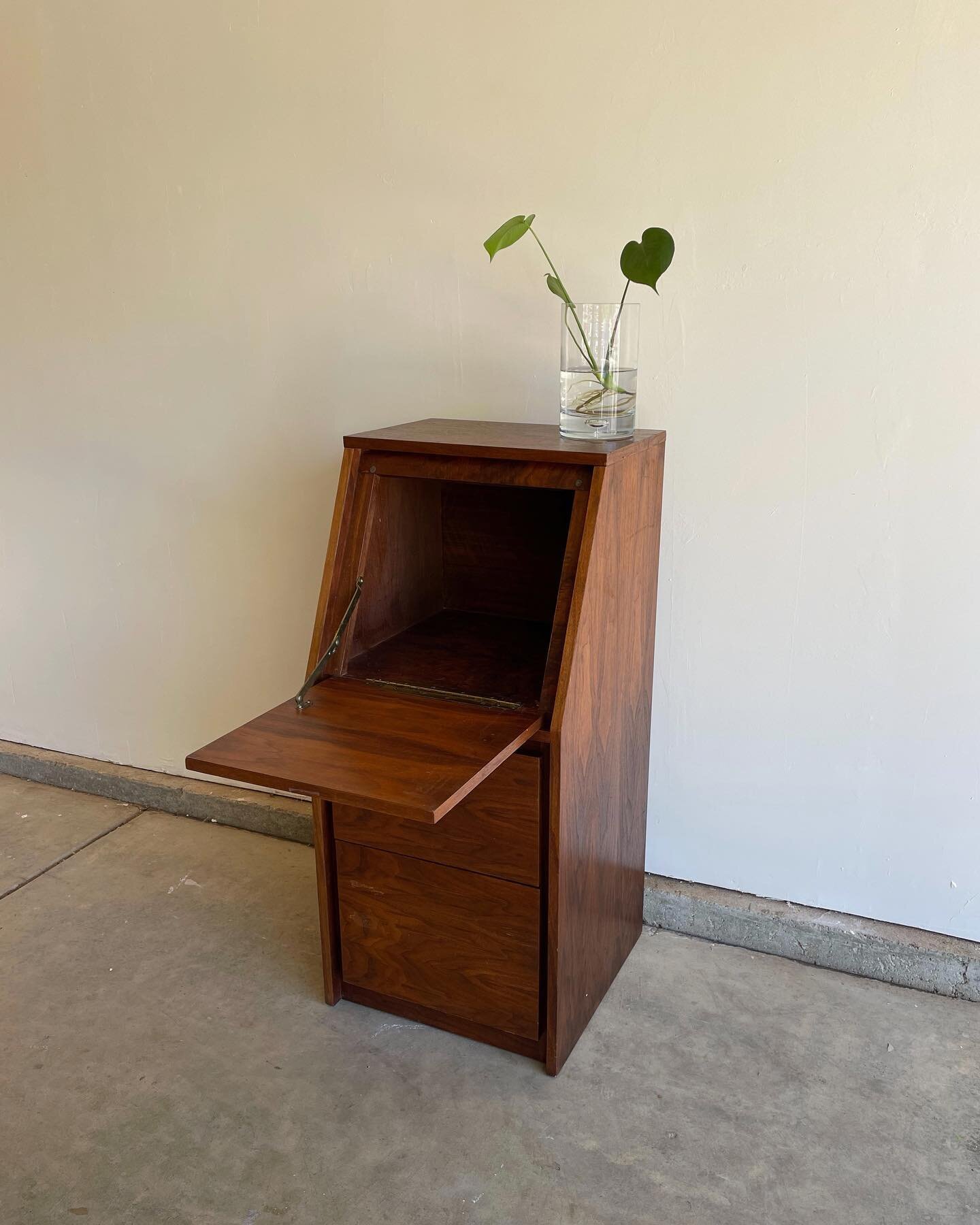 Vintage Mid-Century Drop Door Nightstand

A narrow vintage walnut mid-century modern drop door narrow nightstand with built-in light. In pre-owned vintage condition.
⠀⠀⠀⠀⠀⠀⠀⠀⠀
Measurements: 18&rdquo; x 18&rdquo; x 40&rdquo;
⠀⠀⠀⠀⠀⠀⠀⠀⠀
LOCAL BAY AREA P