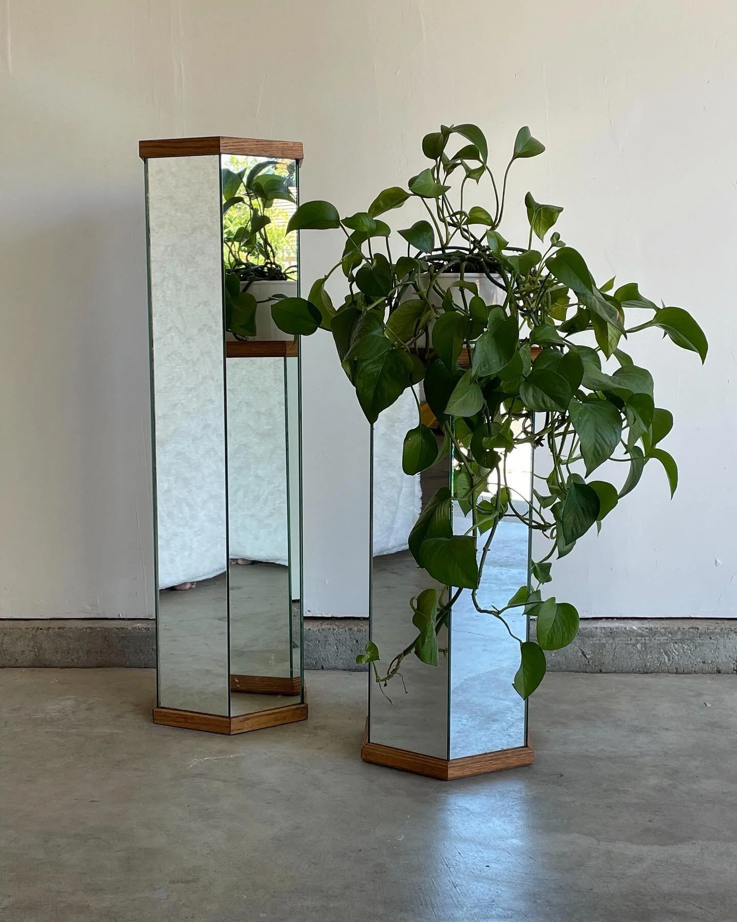 Vintage Hexagon Mirrored Klessik Pedestals (set of 2)

A lovely pair of vintage hexagon mirrored Klessik pedestals/ plant stands. In good pre-owned condition - no cracking of the original mirror.
⠀⠀⠀⠀⠀⠀⠀⠀⠀
Measurements: 
taller: 10&rdquo; x 36&rdquo;