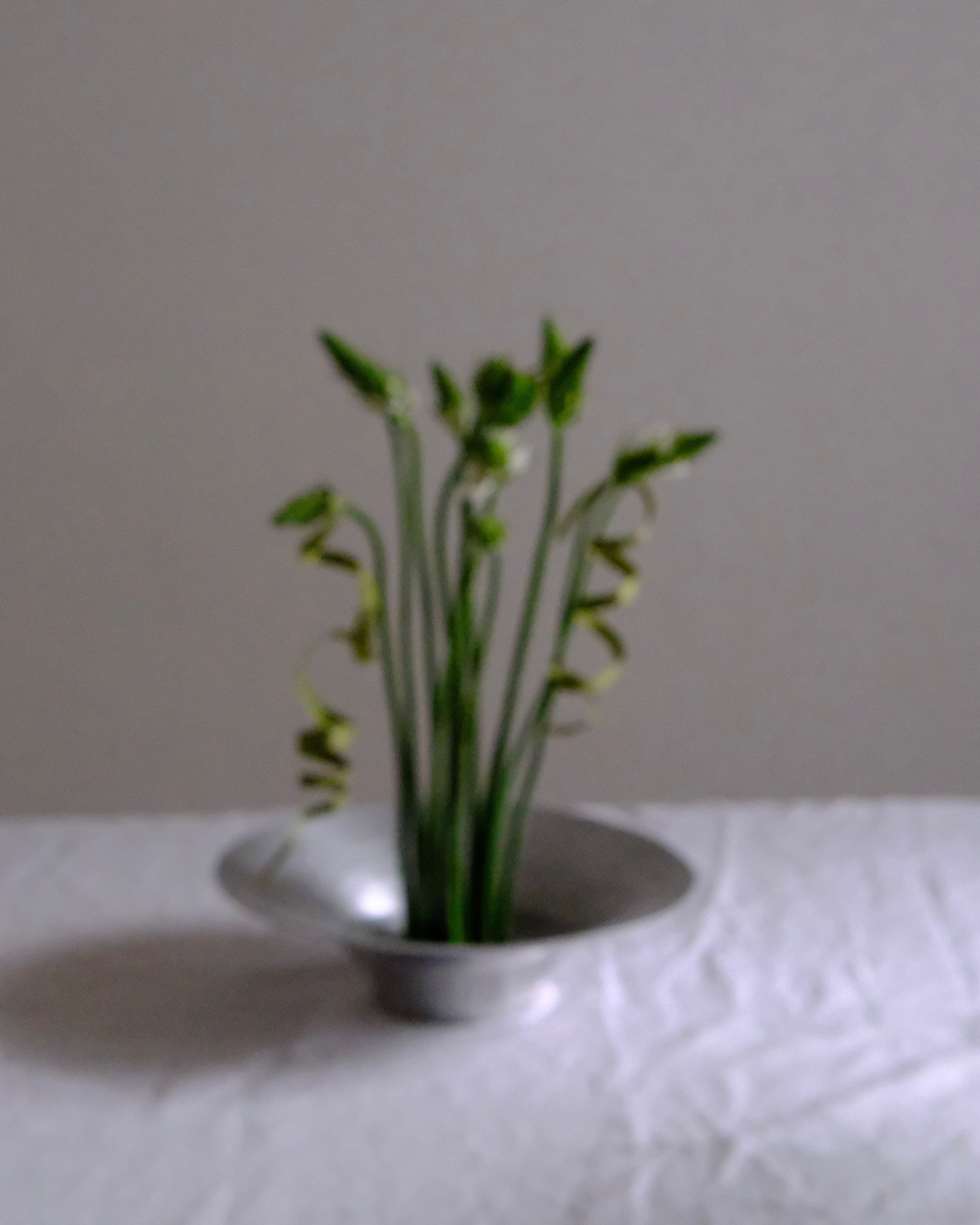 Vintage Silver Bowl (2).JPG