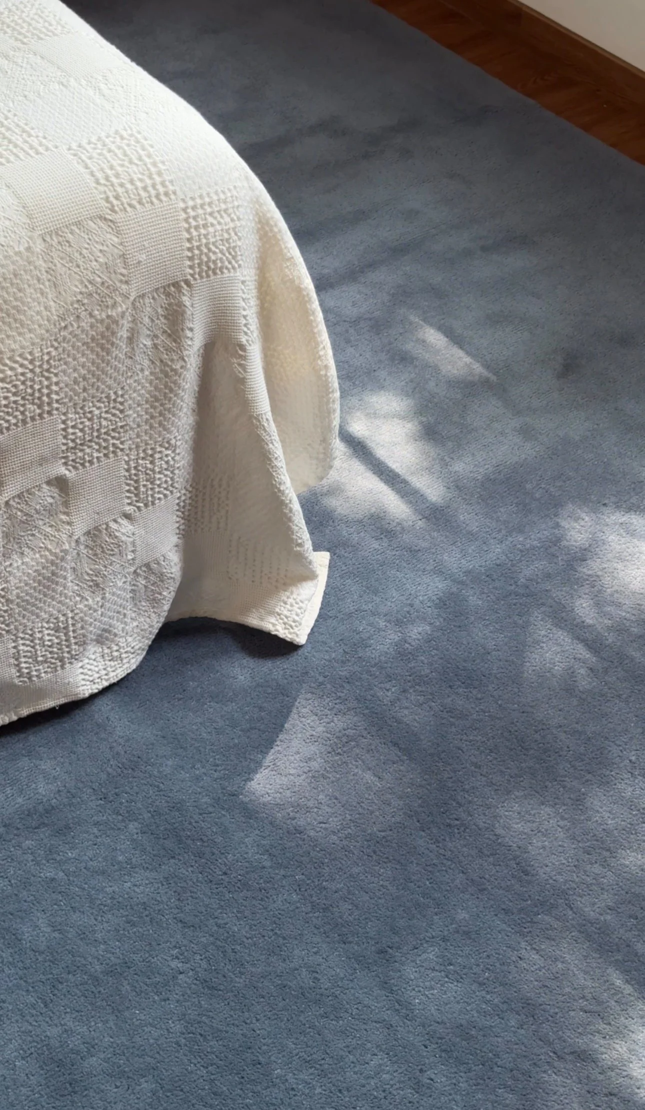 Orchid Blue New Zealand Wool Area Rug.JPG