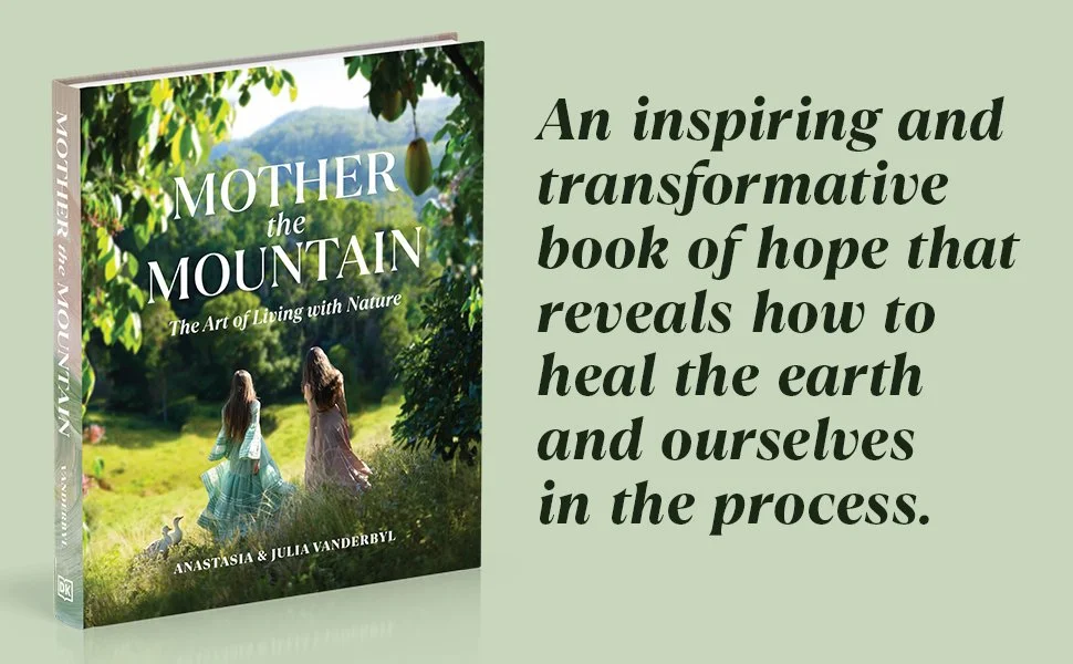 Book Mother The Mountain