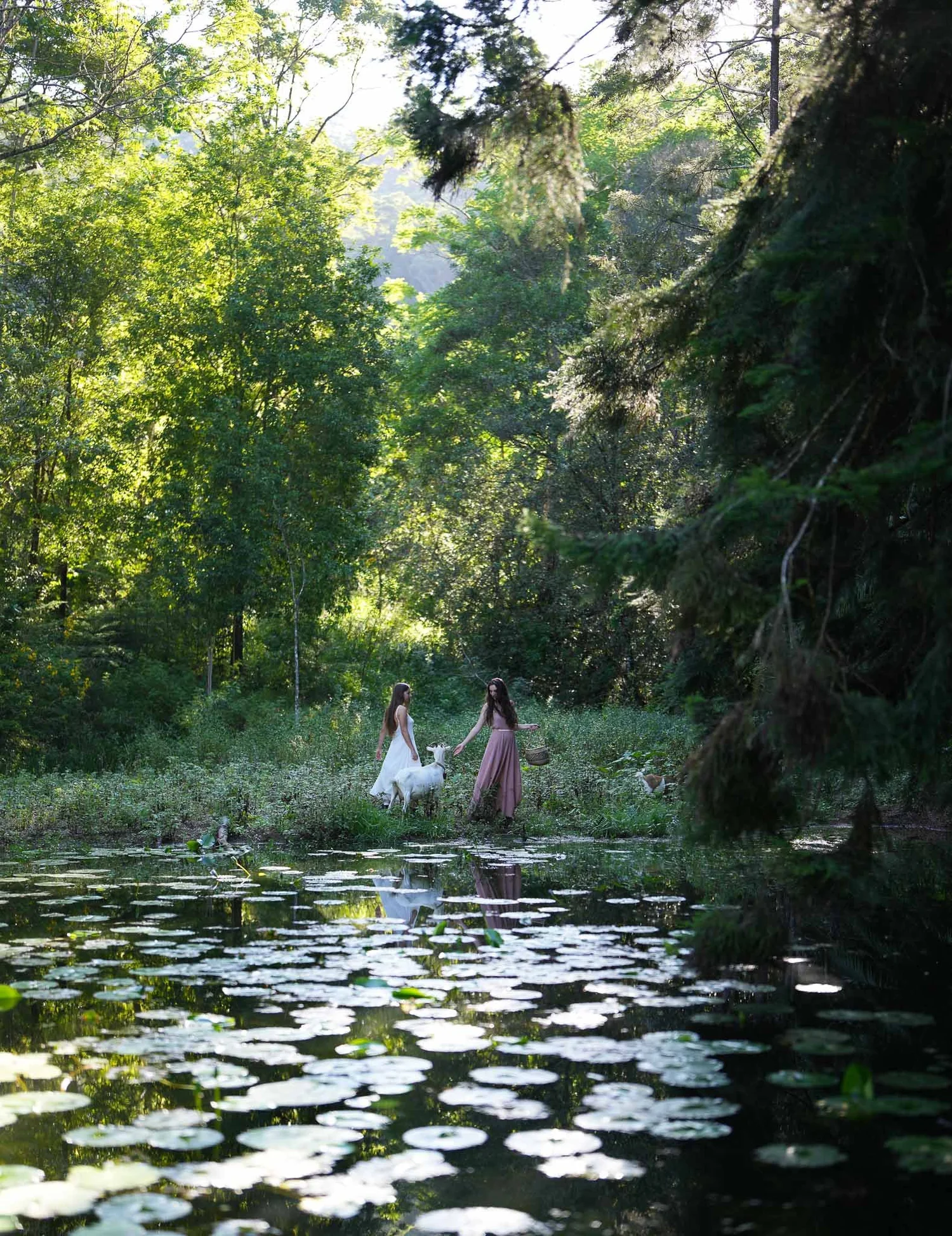 About Mother The Mountain