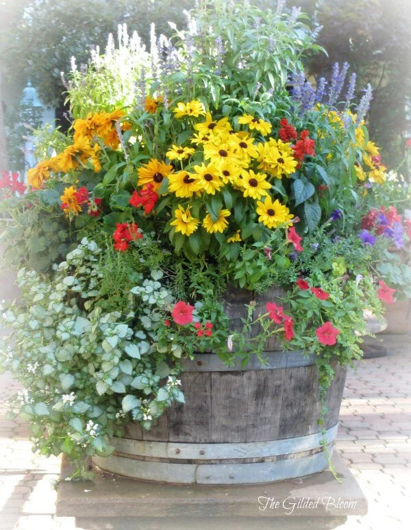 Summer Container Gardening…