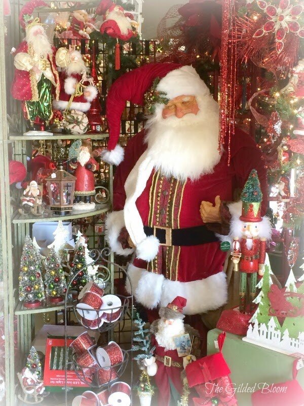Scenes of the Season at Morris Nursery...