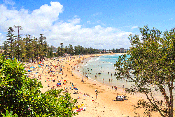 Sydney must see sights