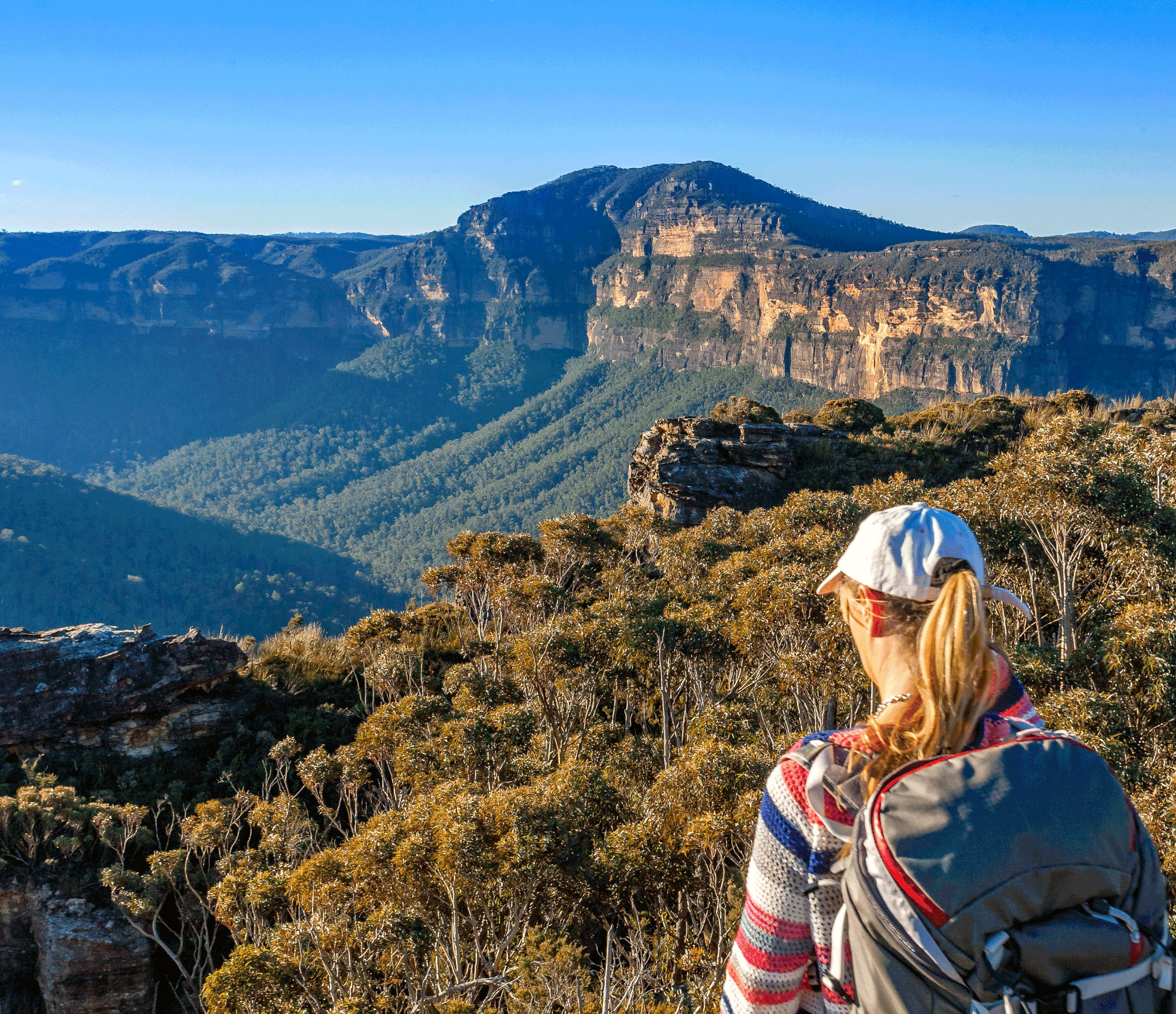 blue-mountains-private-tour-guided-hike-sydney-luxury-experiences.gif