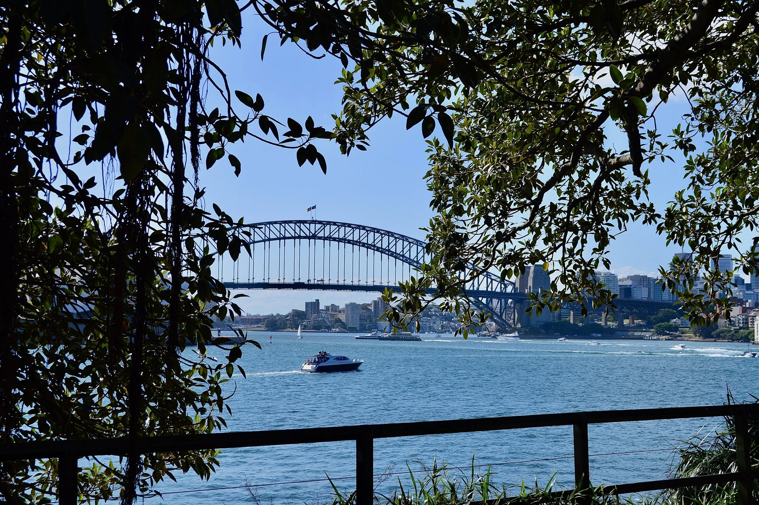 AdobeStock_551218929 (1).jpeg