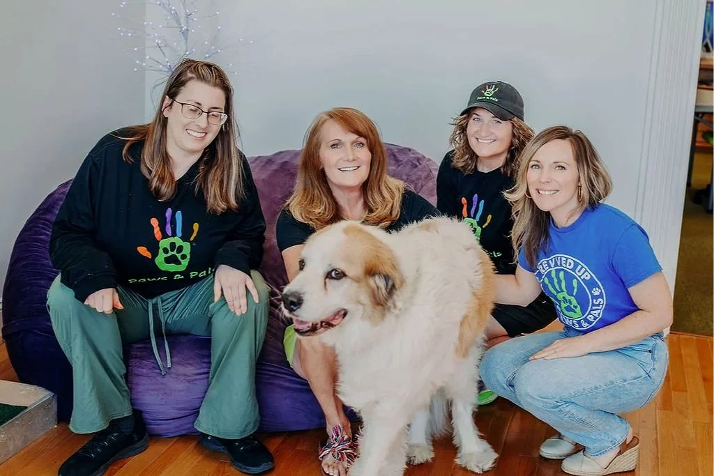 Sometimes Support Has Four Paws