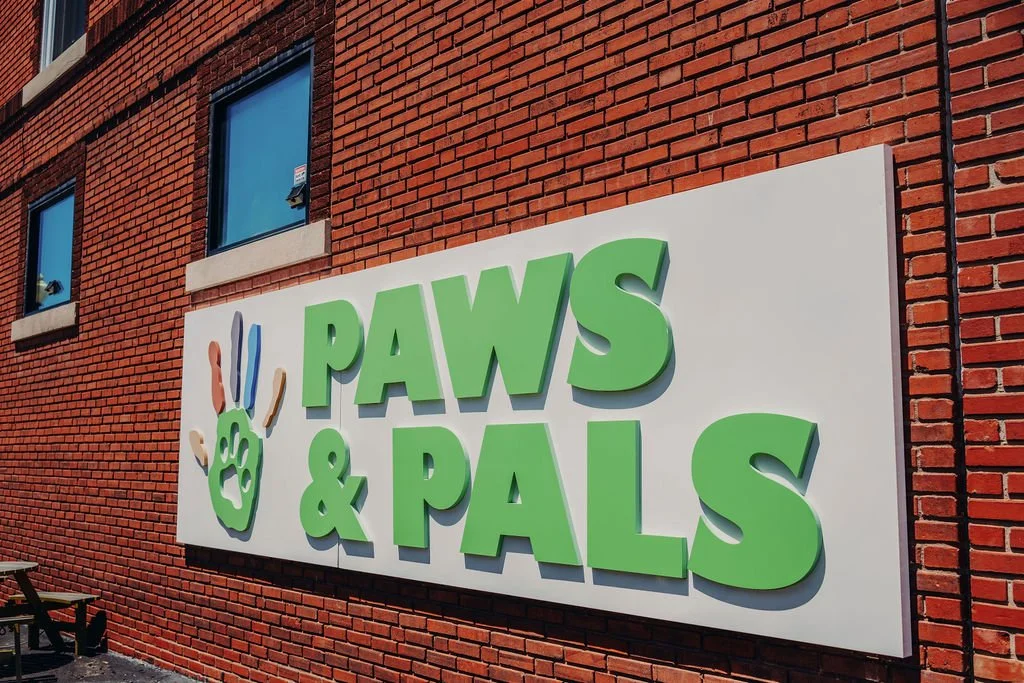finalPawsandPals_2.jpeg