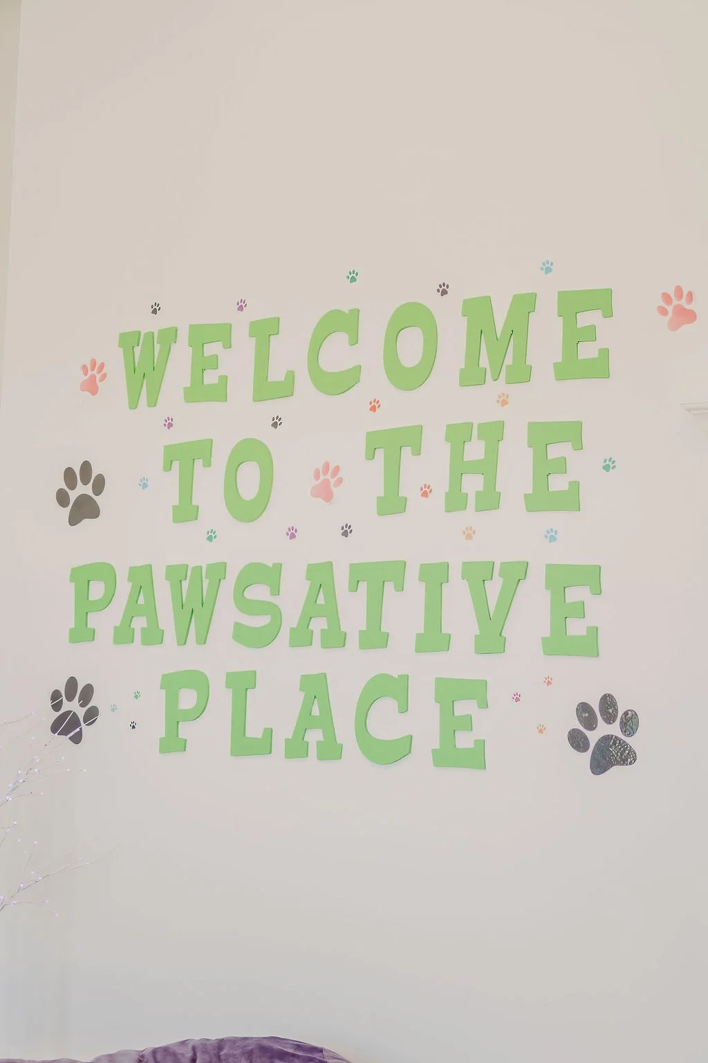 finalPawsandPals_5.jpeg