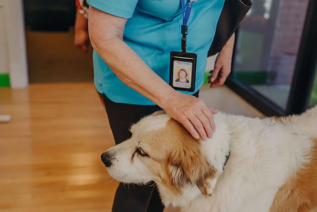 finalPawsandPals_29.jpeg