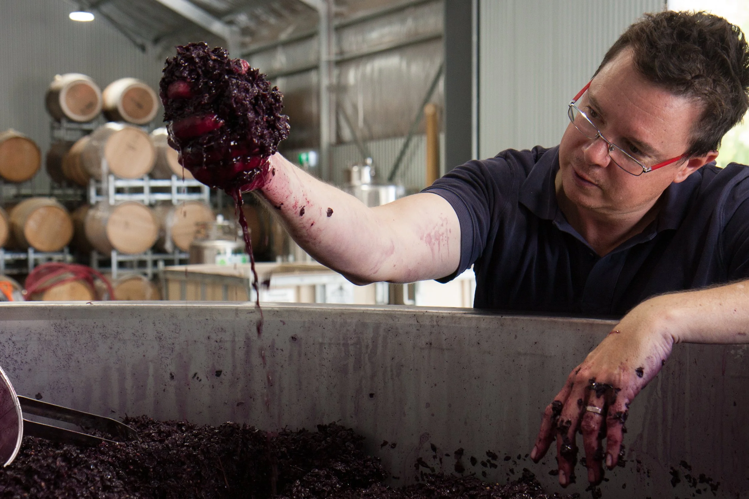 About Curator Wine Co — Curator Wine Co