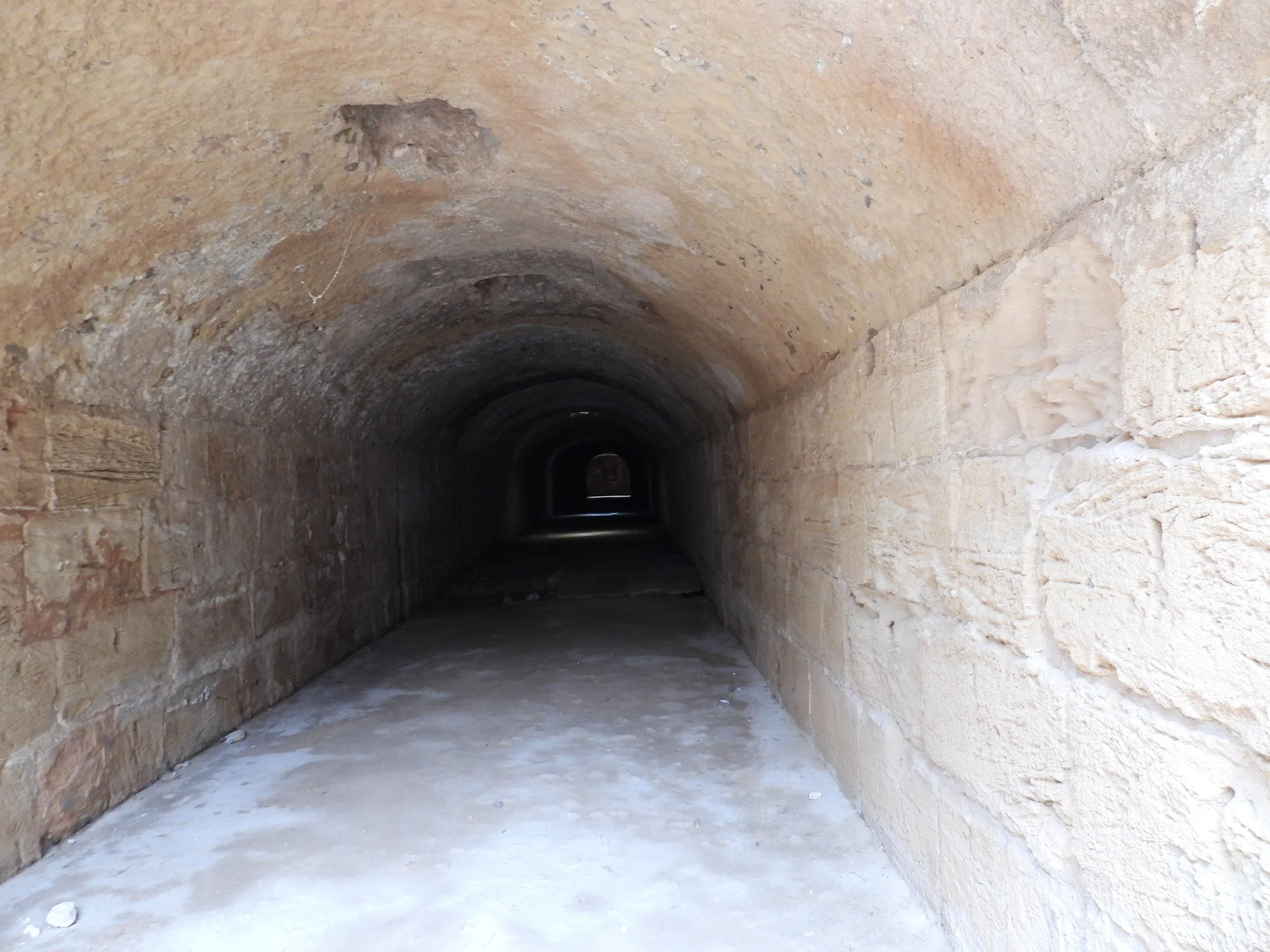 DSCN3788.JPG