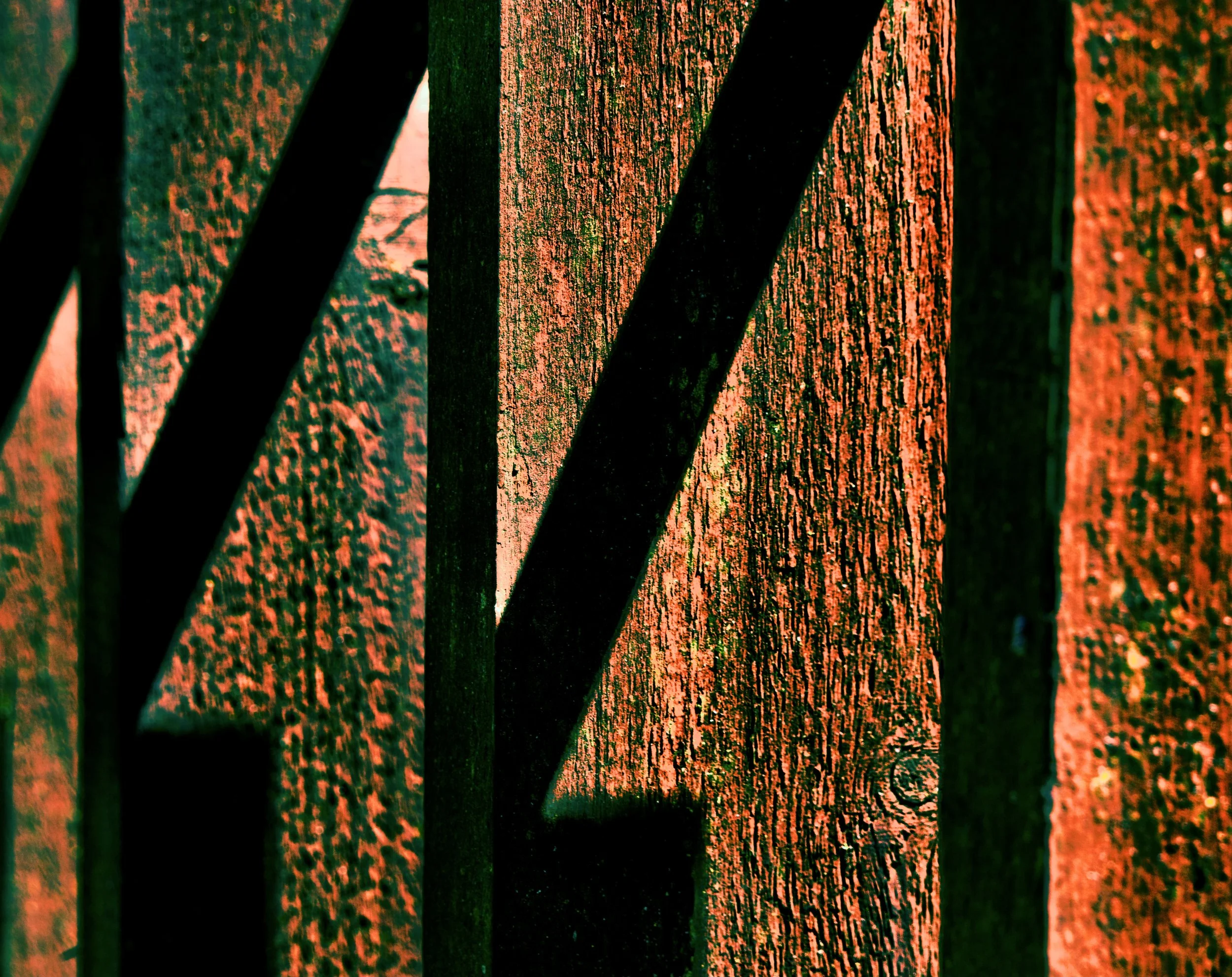 P6190134.jpeg