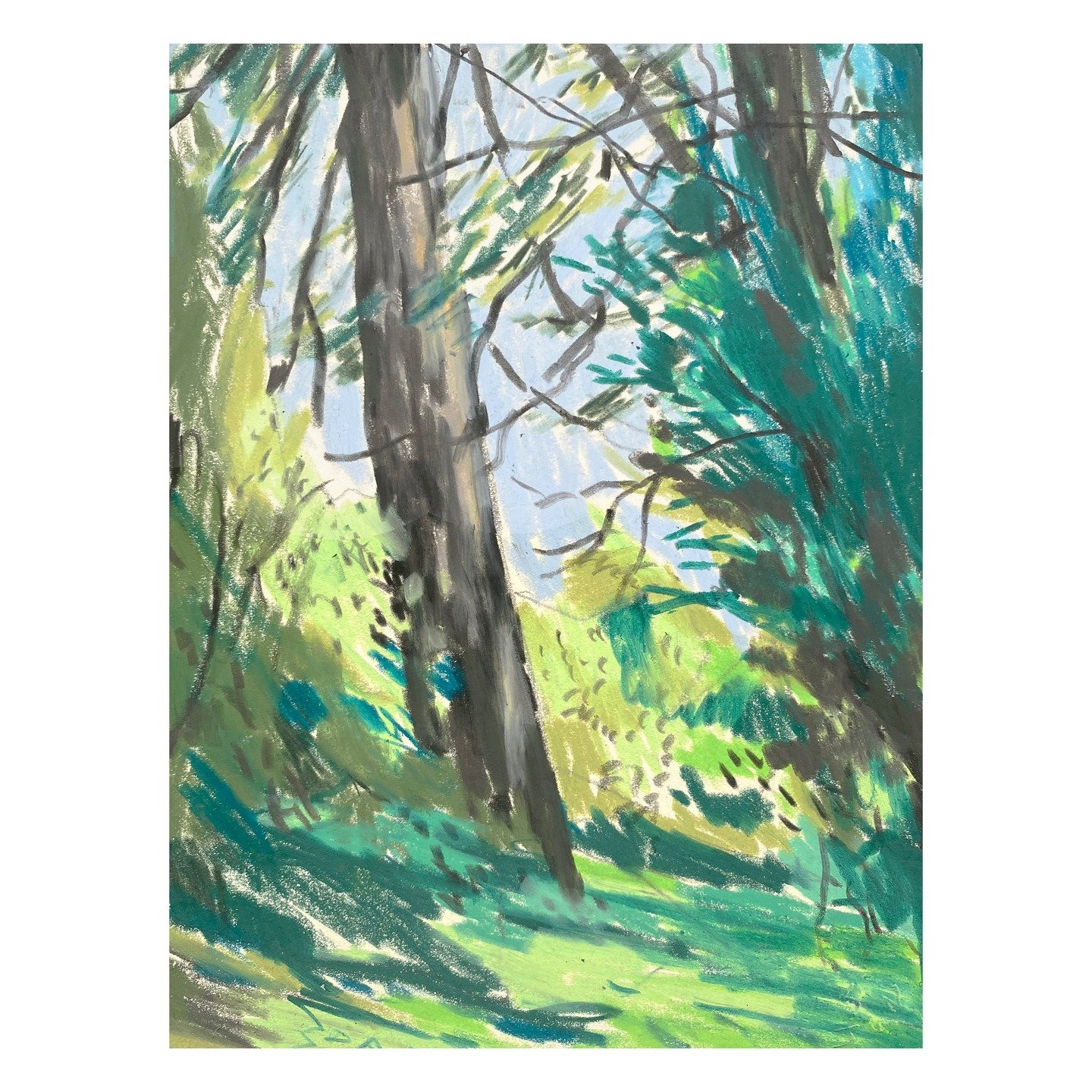 Walk around Wick Street, Cedar trees, crayon on paper. June 3, 2025. #amberley #gloucestershire

.
.
.
.

#drawing #drawingdaily #sketching #graphitedrawing #cotswolds #sketchingdaily #instagram #illustration #instagolden #artoftheday #dailydrawing #