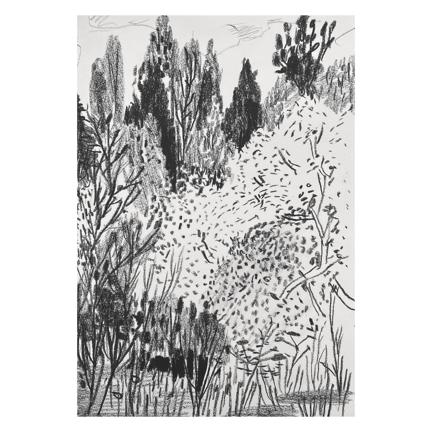 Sketchbook selection, Miserden Lakes, A3, May, 2025. #miserden

.
.
.
.

#drawing #drawingdaily #sketching #graphitedrawing #cotswolds #sketchingdaily #instagram #illustration #instagolden #artoftheday #dailydrawing #dailysketchbook #contemporaryart 