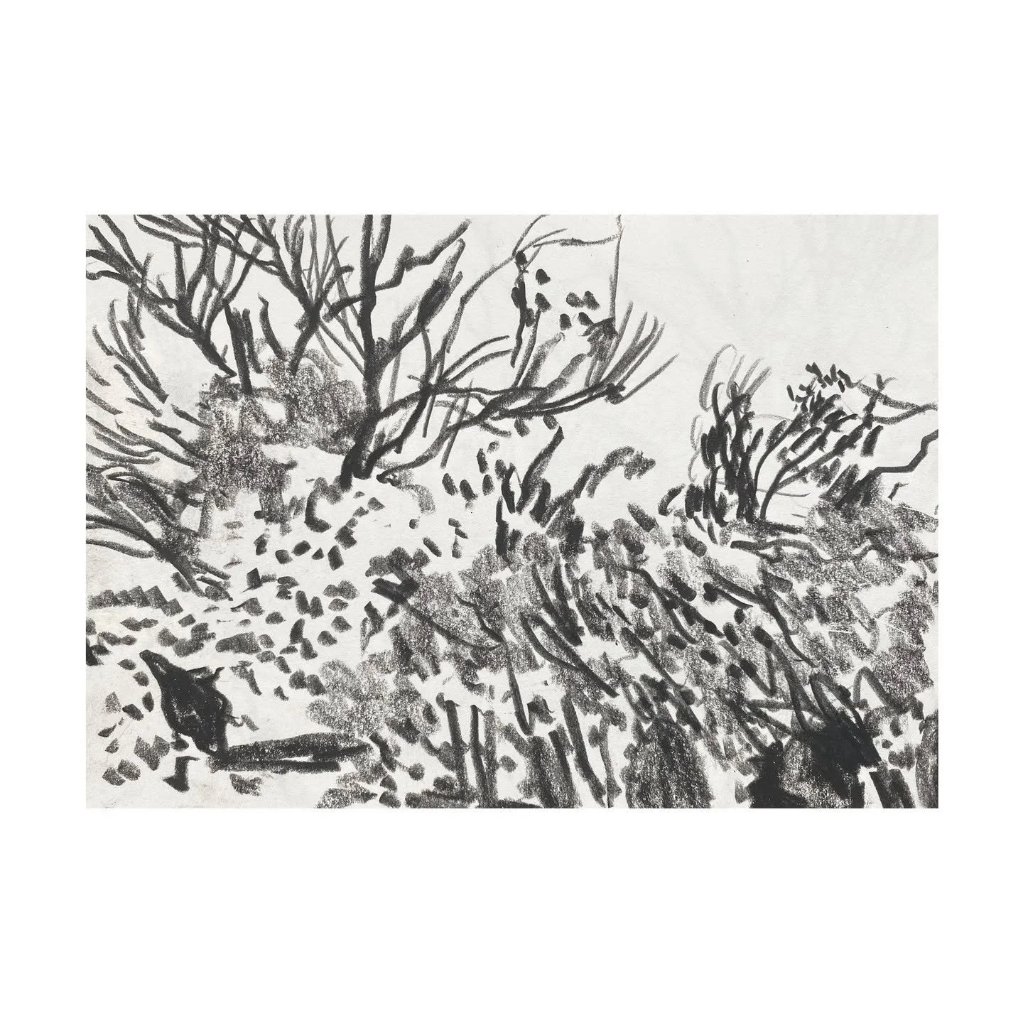 Sketchbook &ndash; A5 &ndash; Bisley &ndash; Nov 2025

.
.
.
.

#drawing #drawingdaily #sketching #graphitedrawing #cotswolds #sketchingdaily #instagram #illustration #instagolden #artoftheday #dailydrawing #dailysketchbook #contemporaryart #afternoo