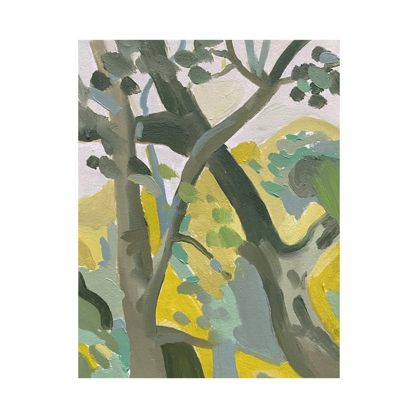 Bisley Trees #gloucestershire 6x8 Oil on paper #sketch
.
.
.
.
#oilpainting #oilpainters #landscapepainting #pleinair #planairpainting #enpleinair #cotswolds #gloucestershire #outdoors #oilsketch #smallpainting #landscapepaintingnow #contemporaryland