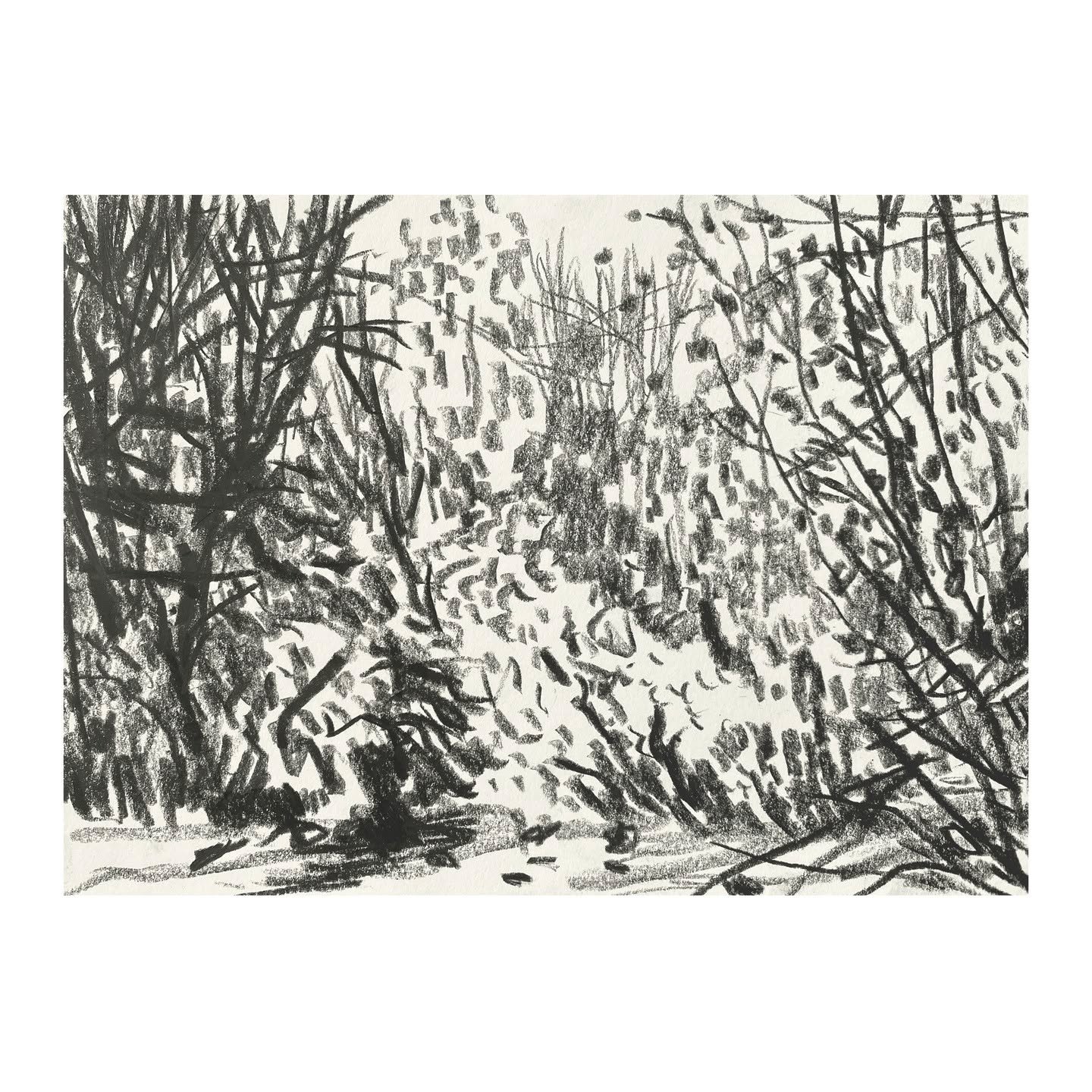 Sketchbook &ndash; A5 &ndash; Three Groves Wood &ndash; Nov 2025

.
.
.
.

#drawing #drawingdaily #sketching #graphitedrawing #cotswolds #sketchingdaily #instagram #illustration #instagolden #artoftheday #dailydrawing #dailysketchbook #contemporaryar