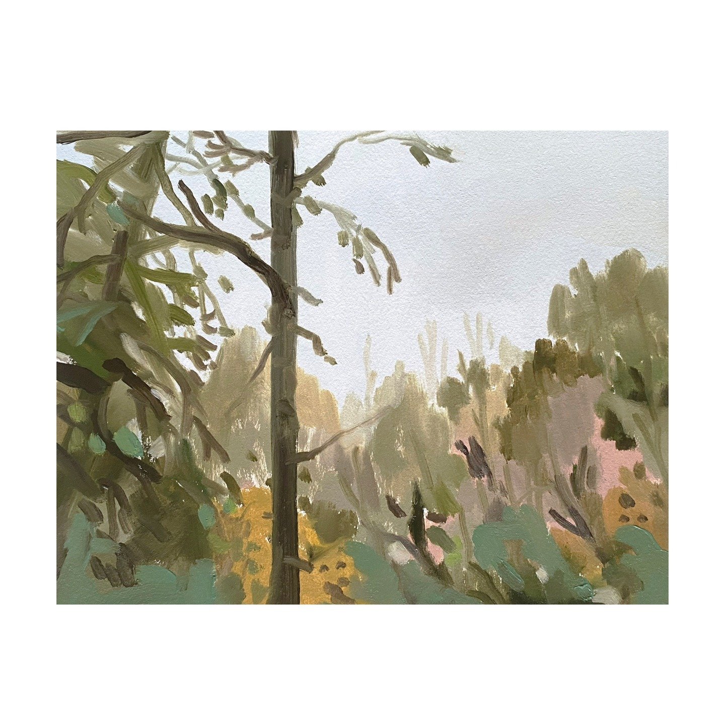 Uley #gloucestershire Small oil sketch on paper 8x10 #sketch Nov 2025
.
.
.
.
#oilpainting #oilpainters #landscapepainting #pleinair #planairpainting #enpleinair #cotswolds #gloucestershire #outdoors #oilsketch #smallpainting #landscapepaintingnow #c