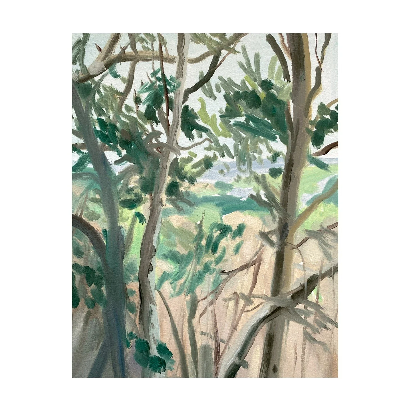 Catbrain Quarry #gloucestershire Small oil sketch on paper 8x10 #sketch Nov 2025
.
.
.
.
#oilpainting #oilpainters #landscapepainting #pleinair #planairpainting #enpleinair #cotswolds #gloucestershire #outdoors #oilsketch #smallpainting #landscapepai