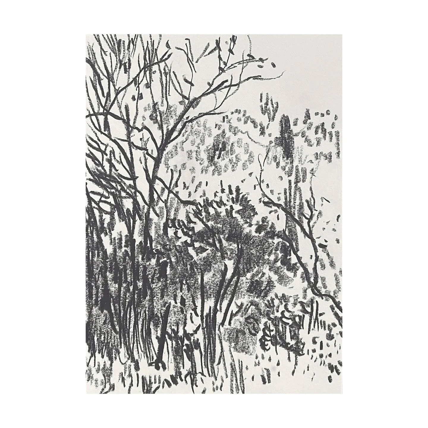 Sketchbook selection - Gatcombe - A5 - December 2025 #minchinhampton 

.
.
.
.

#drawing #drawingdaily #sketching #graphitedrawing #cotswolds #sketchingdaily #instagram #illustration #instagolden #artoftheday #dailydrawing #dailysketchbook #contempor