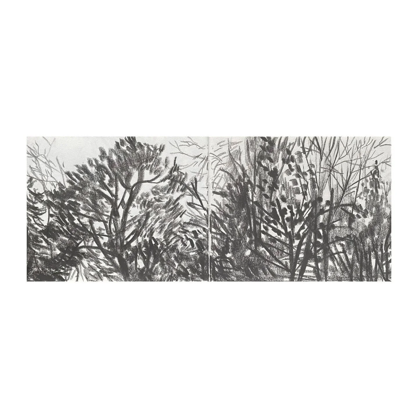 Sketchbook selection - Bullscross - A6 - 20 January 2026 #bullscross Tree studies
.
.
.
.

#art #artist #artists #artoftheday #artofinstgram #artshare #artwork #contemporaryart #contemporarylandscapepainting #thecontemporarylandscape #cotswolds #crea