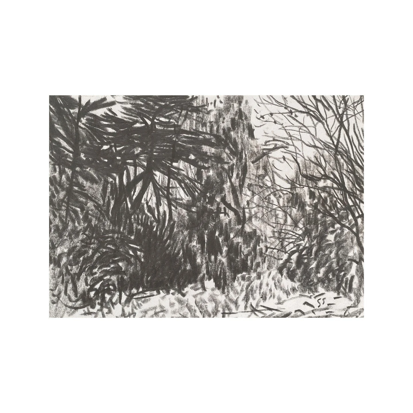 Drawings A5 #amberley #miserden 27 January 2026 Tree studies 
.
.
.
.

#artist #artists #artoftheday #artofinstgram #artshare #artwork #contemporaryart #contemporarylandscapepainting #thecontemporarylandscape #artcurator #creative #creativity #dailyd