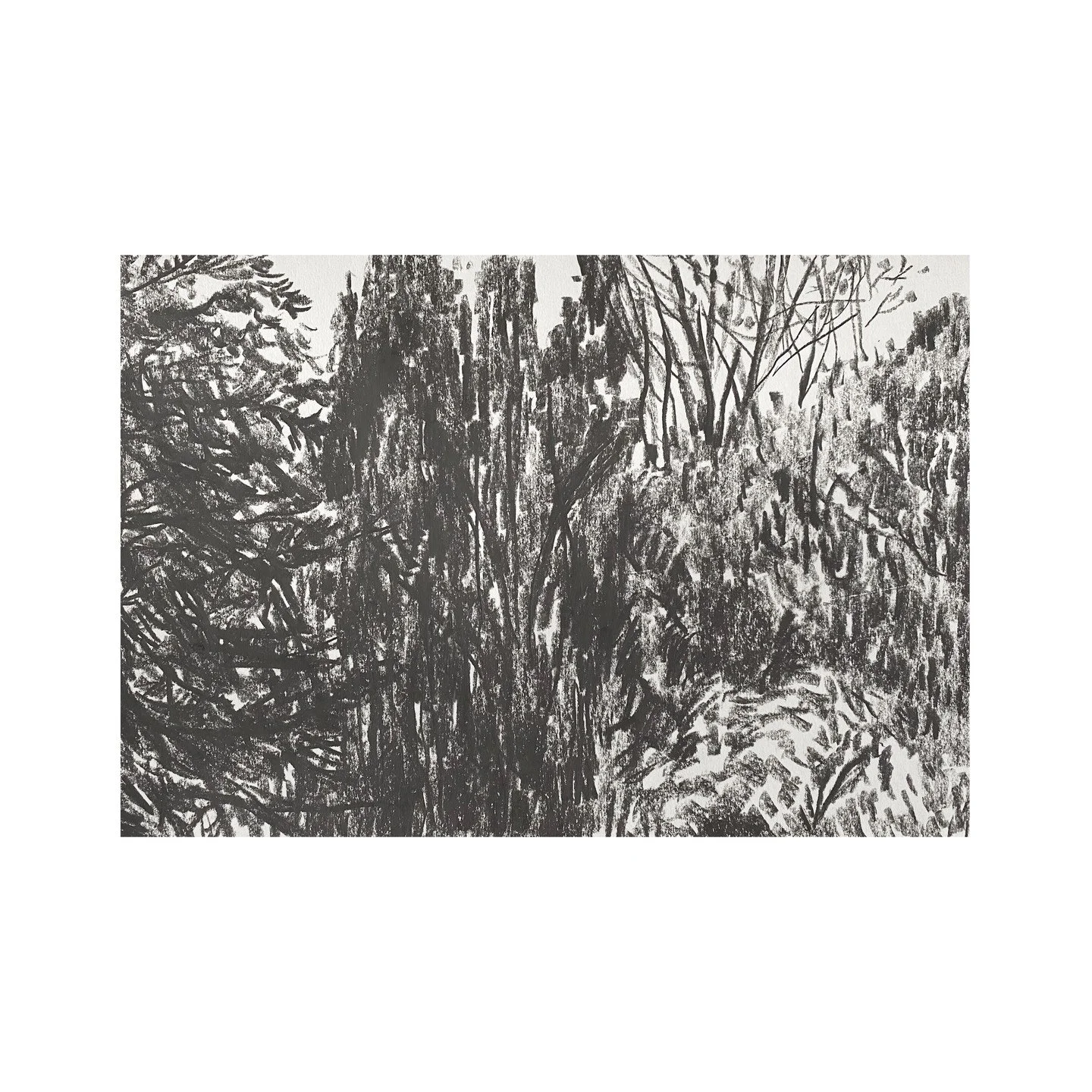 Sketchbook selection - Sapperton - A4 - 3 Feb 2026 #sapperton Tree studies
.
.
.
.

#art #artist #artists #artoftheday #artofinstgram #artshare #artwork #contemporaryart #contemporarylandscapepainting #thecontemporarylandscape #artcurator #creative #