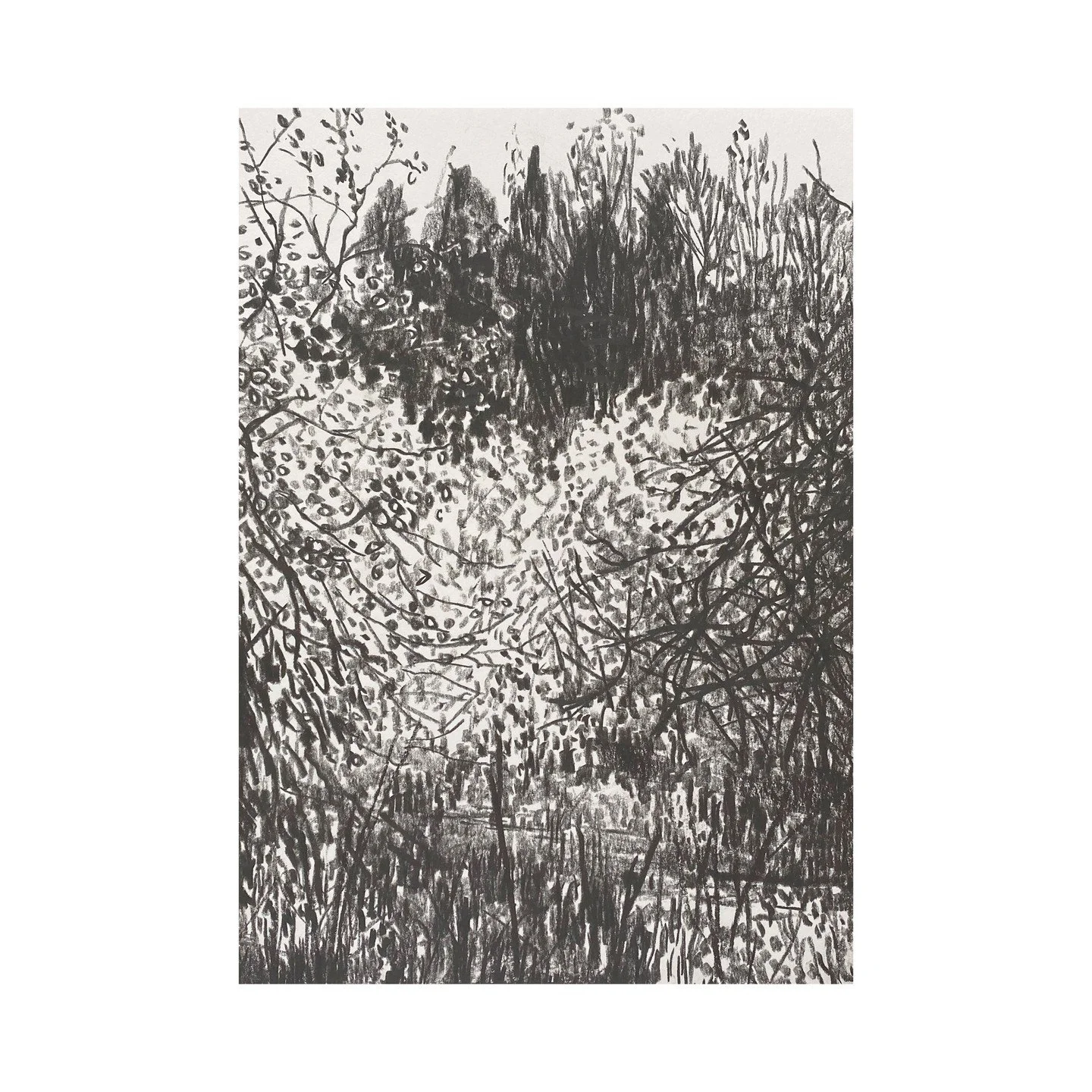 Drawings A5 and A4 #bullbanks #miserden Gloucestershire 14 April 2026 
.
.
.
.

#artist #artists #artoftheday #artofinstgram #artshare #artwork #contemporaryart #contemporarylandscapepainting #thecontemporarylandscape #artcurator #creative #creativit