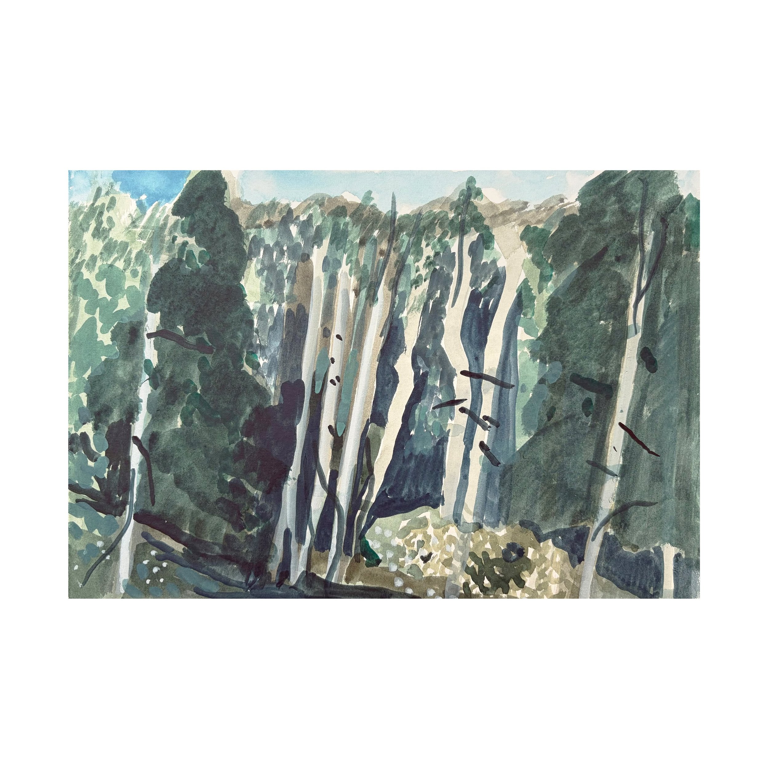 Watercolour Studies 28x19cm #miserden Gloucestershire 12 May 2026, En plein air
.
.
.
.

#artist #artists #artoftheday #artofinstgram #artshare #artwork #contemporaryart #contemporarylandscapepainting #thecontemporarylandscape #artcurator #creative #