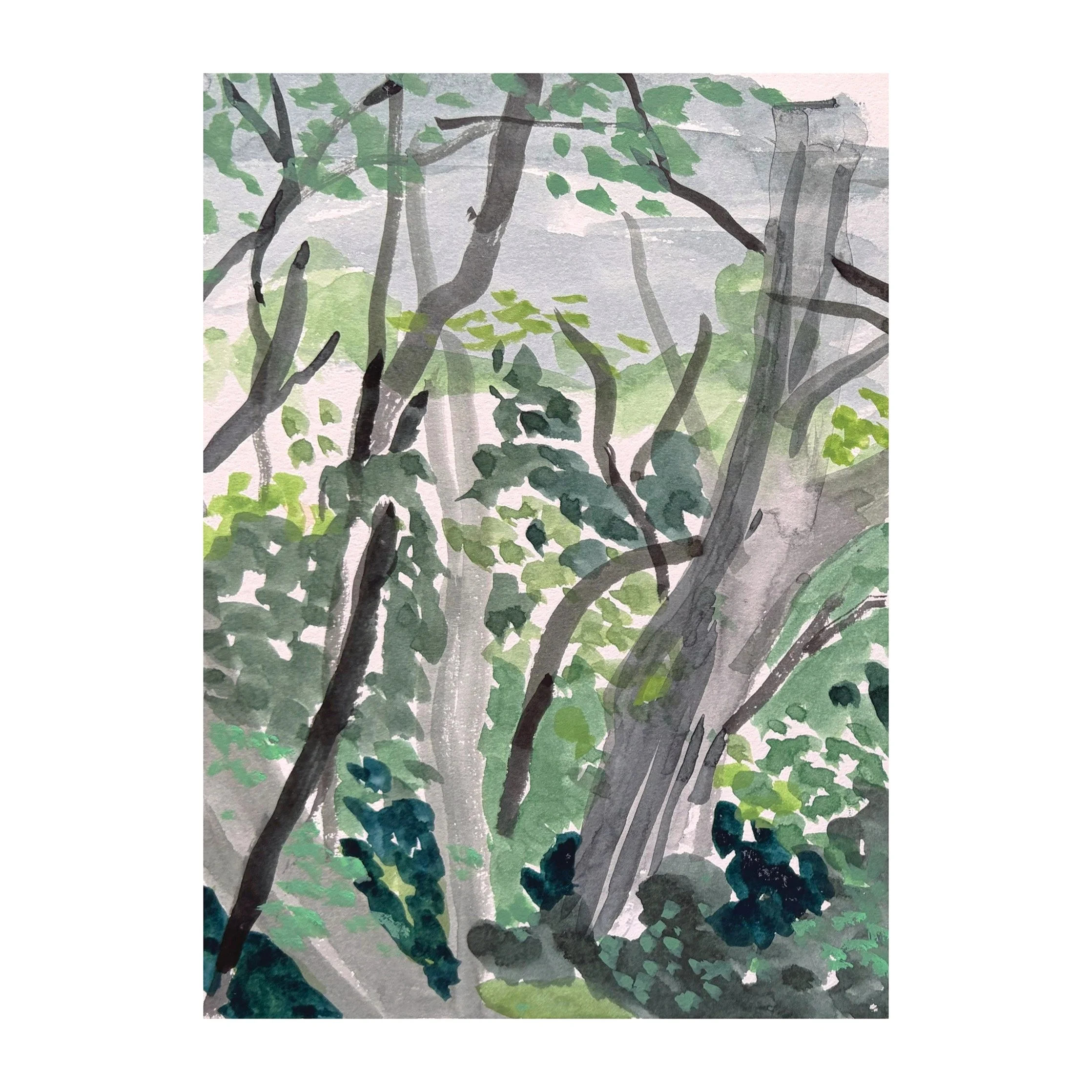 Watercolour Study 19x28cm #miserden Gloucestershire 26 June 2026 #watercolour
.
.
.
.

#artist #artists #artoftheday #artofinstgram #artshare #artwork #contemporaryart #contemporarylandscapepainting #thecontemporarylandscape #artcurator #creative #cr