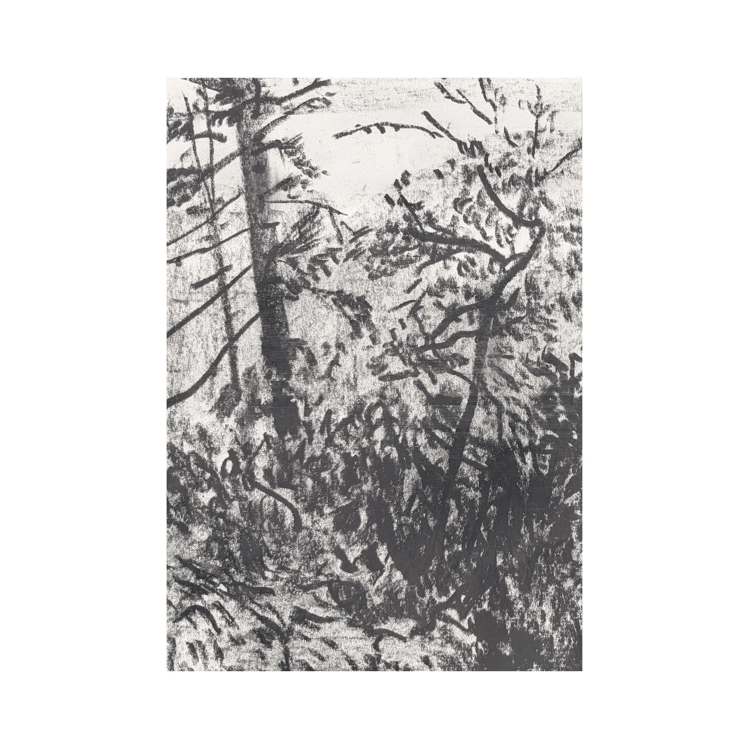 Drawings A5 #brimpsfield Gloucestershire 23 Aug 2026 #drawing
.
.
.
.

#artist #artists #artoftheday #artofinstgram #artshare #artwork #contemporaryart #contemporarylandscapepainting #thecontemporarylandscape #artcurator #creative #creativity #dailyd
