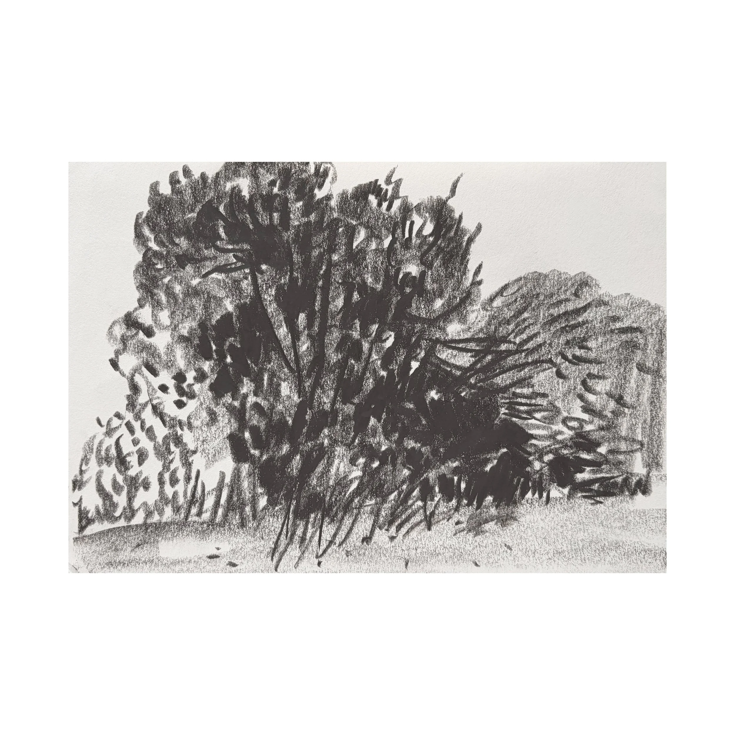 Recent drawings from around #sheepscombe and #cranham Gloucestershire 22 Sept 2026 #drawing
.
.
.
.

#artist #artists #artoftheday #artofinstgram #artshare #artwork #contemporaryart #contemporarylandscapepainting #thecontemporarylandscape #artcurator