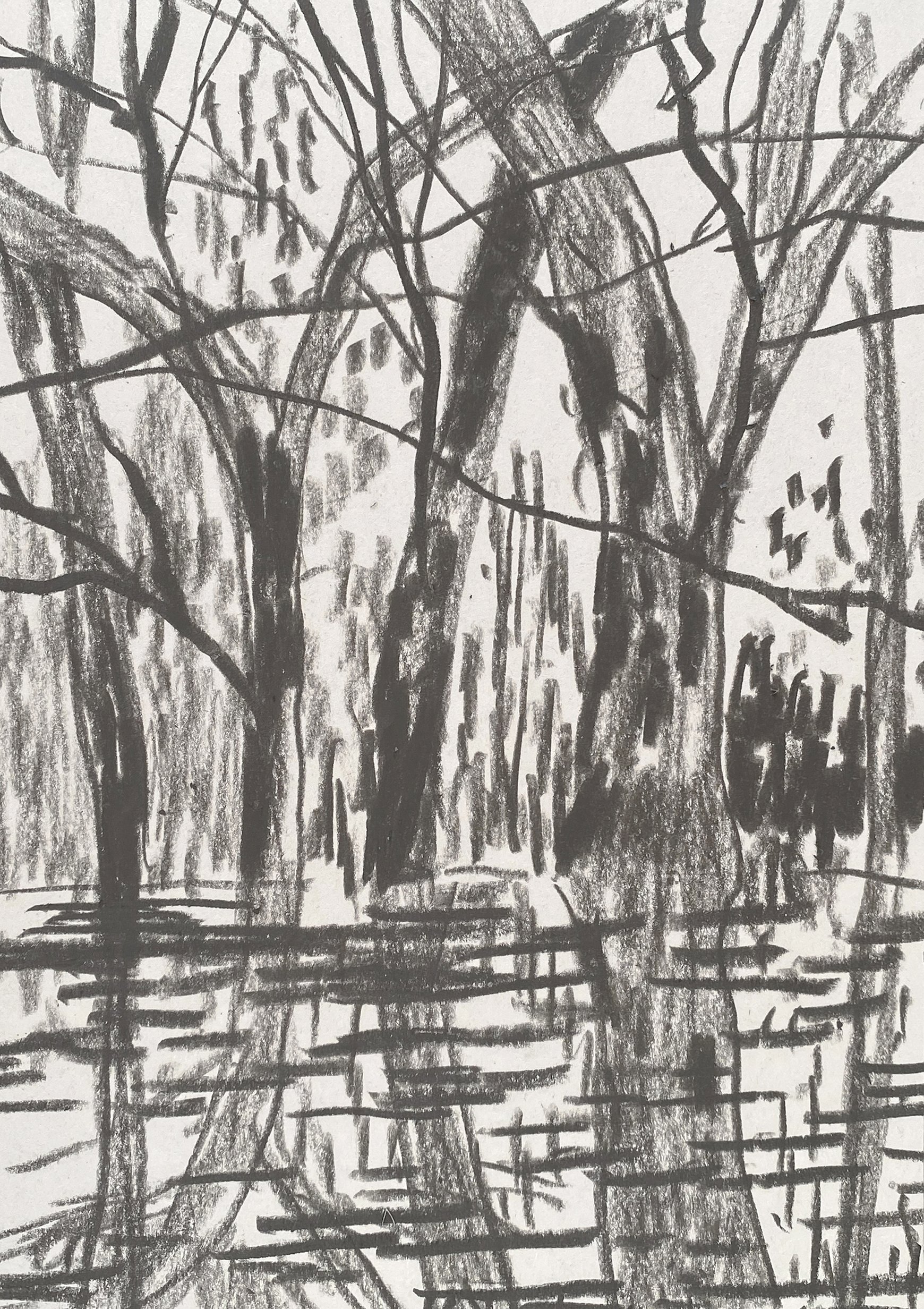 'Winter Reflections IV'  Miserden, graphite on paper, 2026