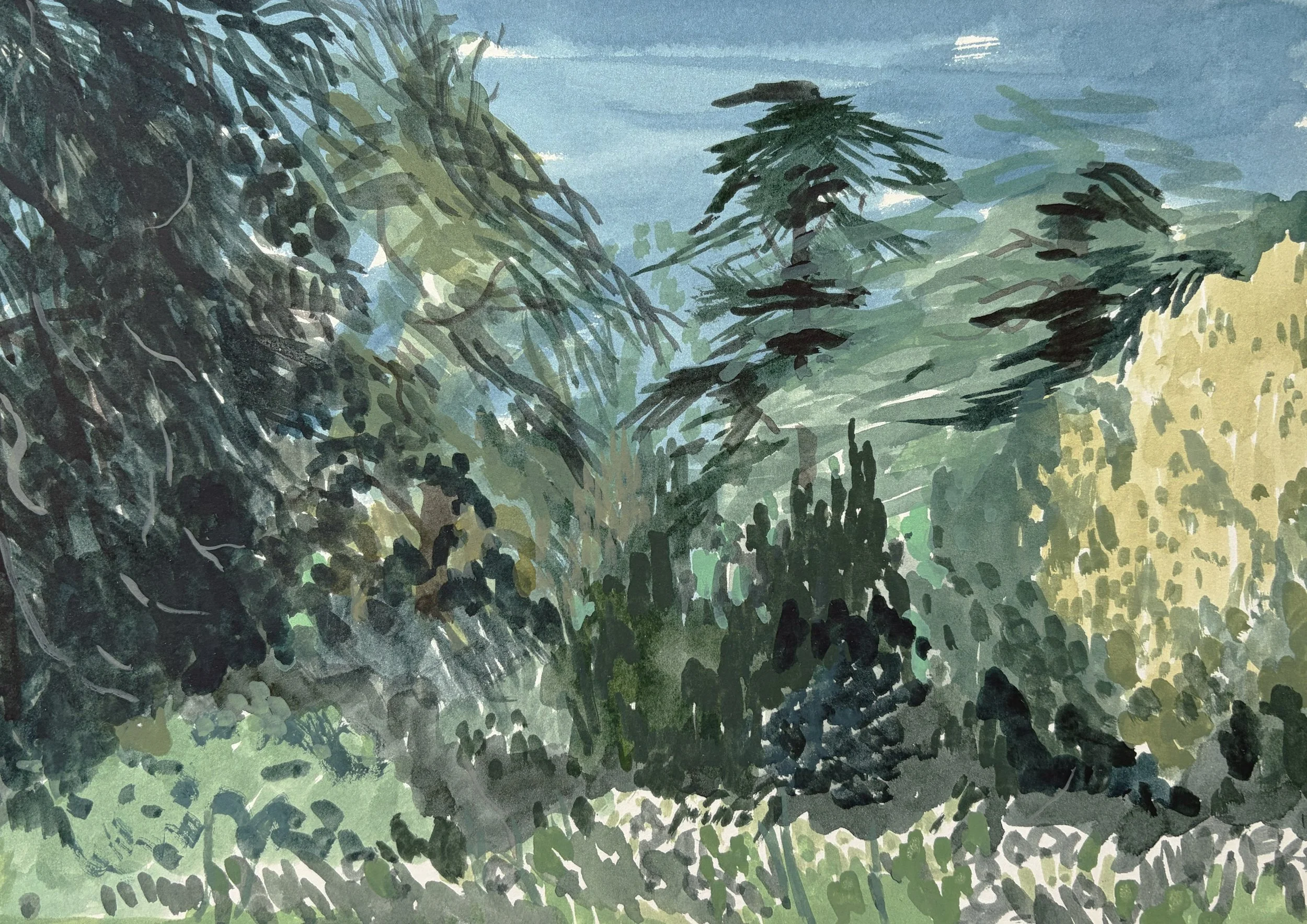 'View to Trees'  Amberley, watercolour on paper, 2026