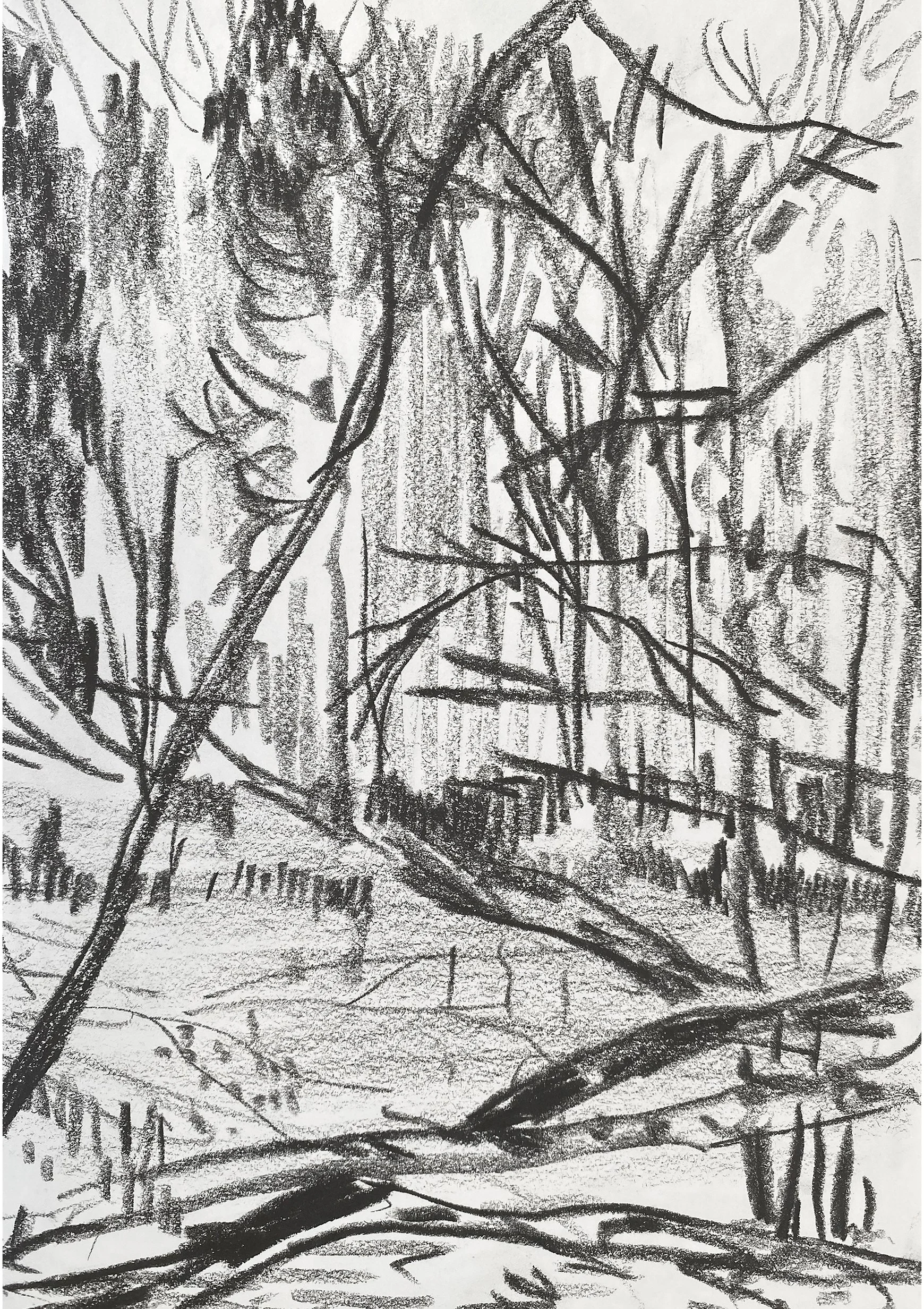 'Autumn Reflections I'  Miserden, graphite on paper, 2026