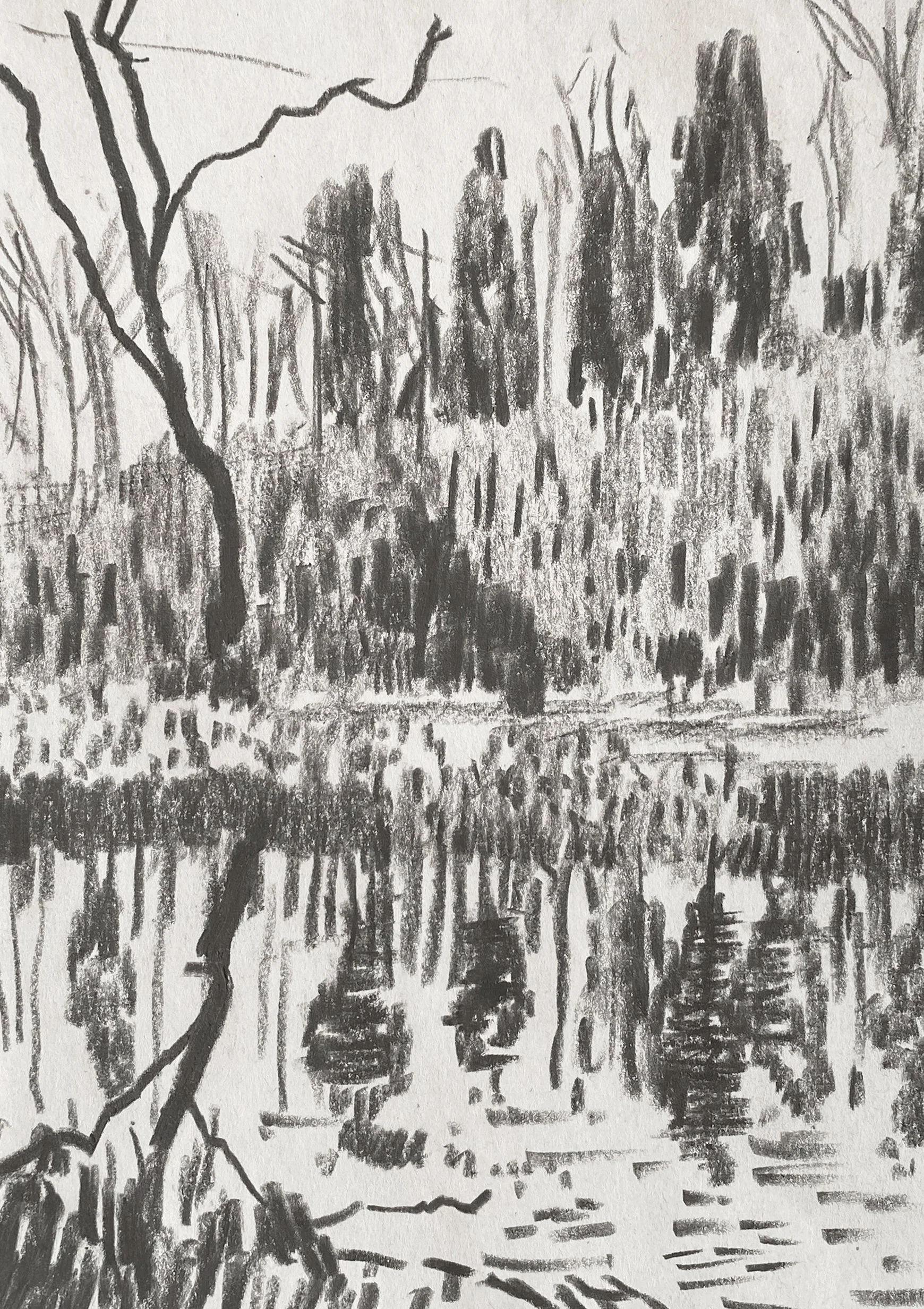  'Winter Reflections V'  Miserden, graphite on paper, 2026, 